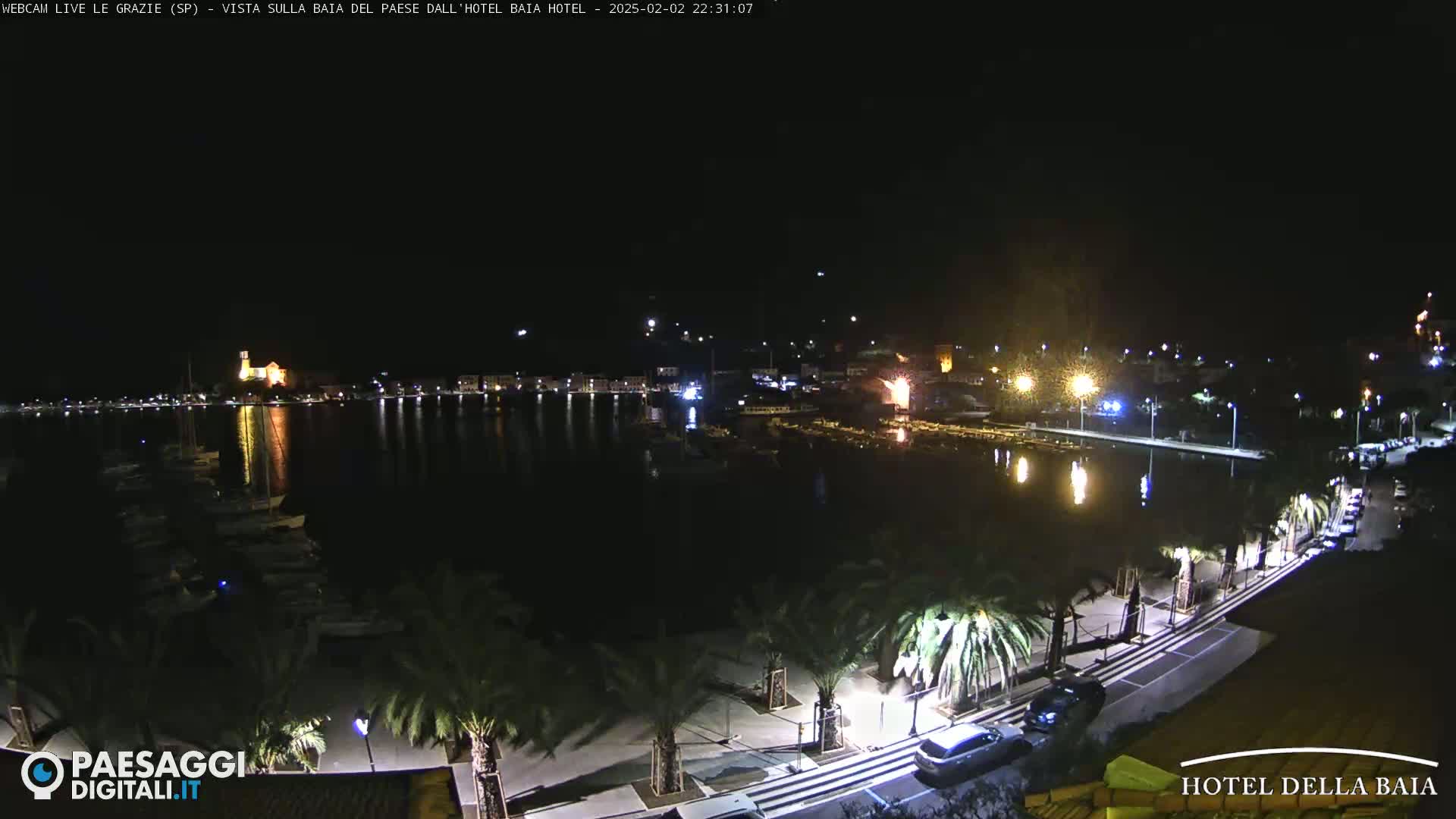 A nighttime view of a harbor, illuminated by lights from buildings and boats, lined with palm trees along a waterfront promenade.
