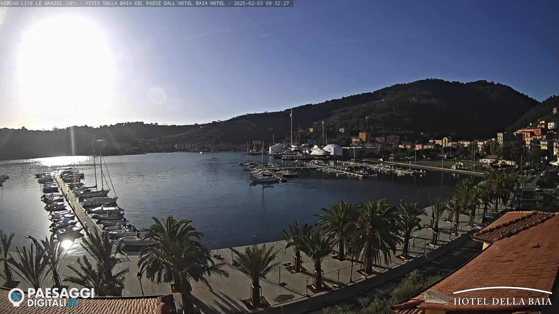 A marina filled with boats is situated below a hilltop town on a sunny day.