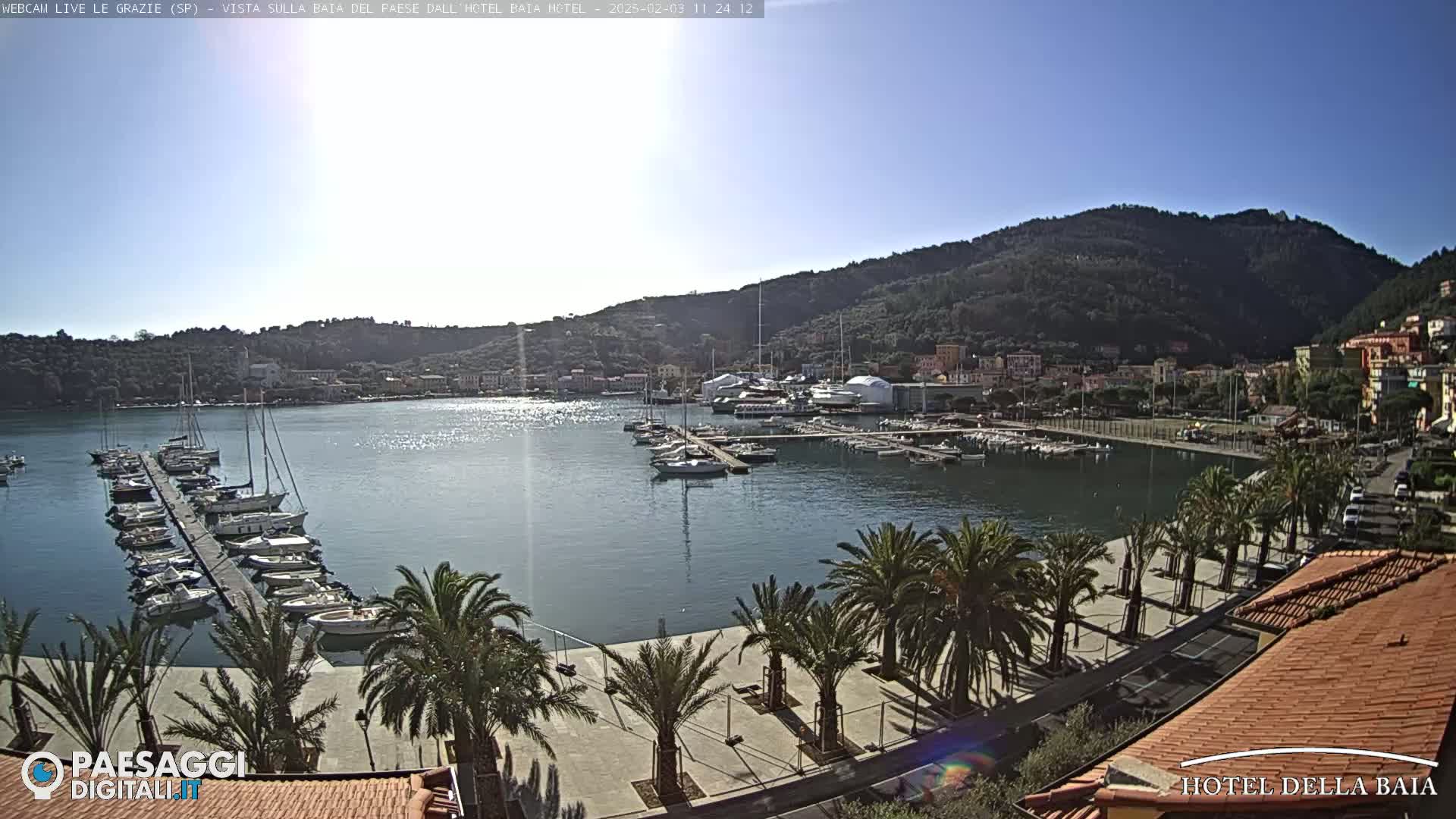 A sunny harbor scene shows a marina filled with sailboats and motorboats, a paved waterfront lined with palm trees, and a hillside town in the background.
