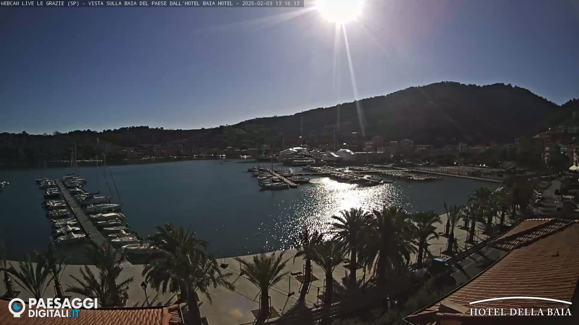 A sunny day overlooks a marina filled with boats, palm trees, and a town nestled against a hillside.
