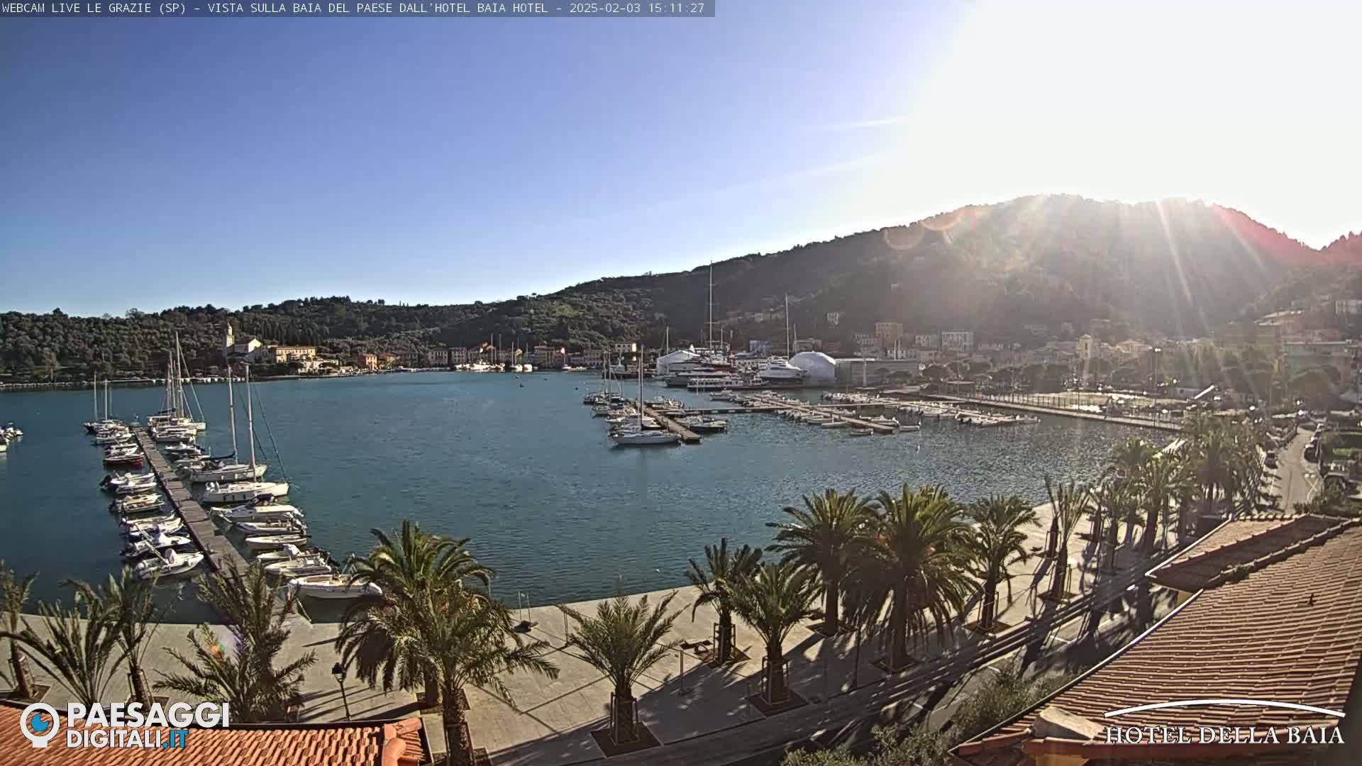 A sunny harbor scene shows numerous boats docked at piers, palm trees lining a paved walkway, and hills in the background.