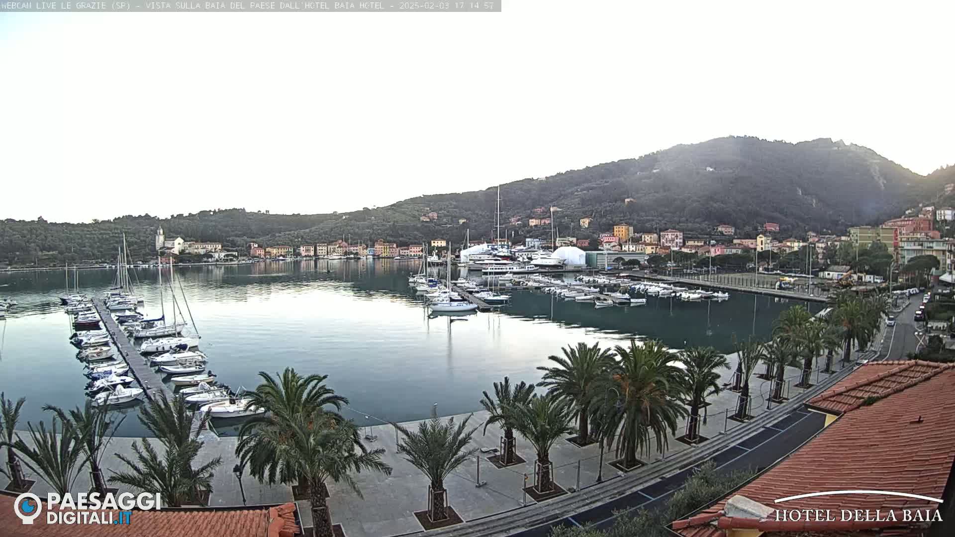A calm harbor filled with numerous boats is nestled beside a town situated against a hillside, under a clear, light-grey sky.