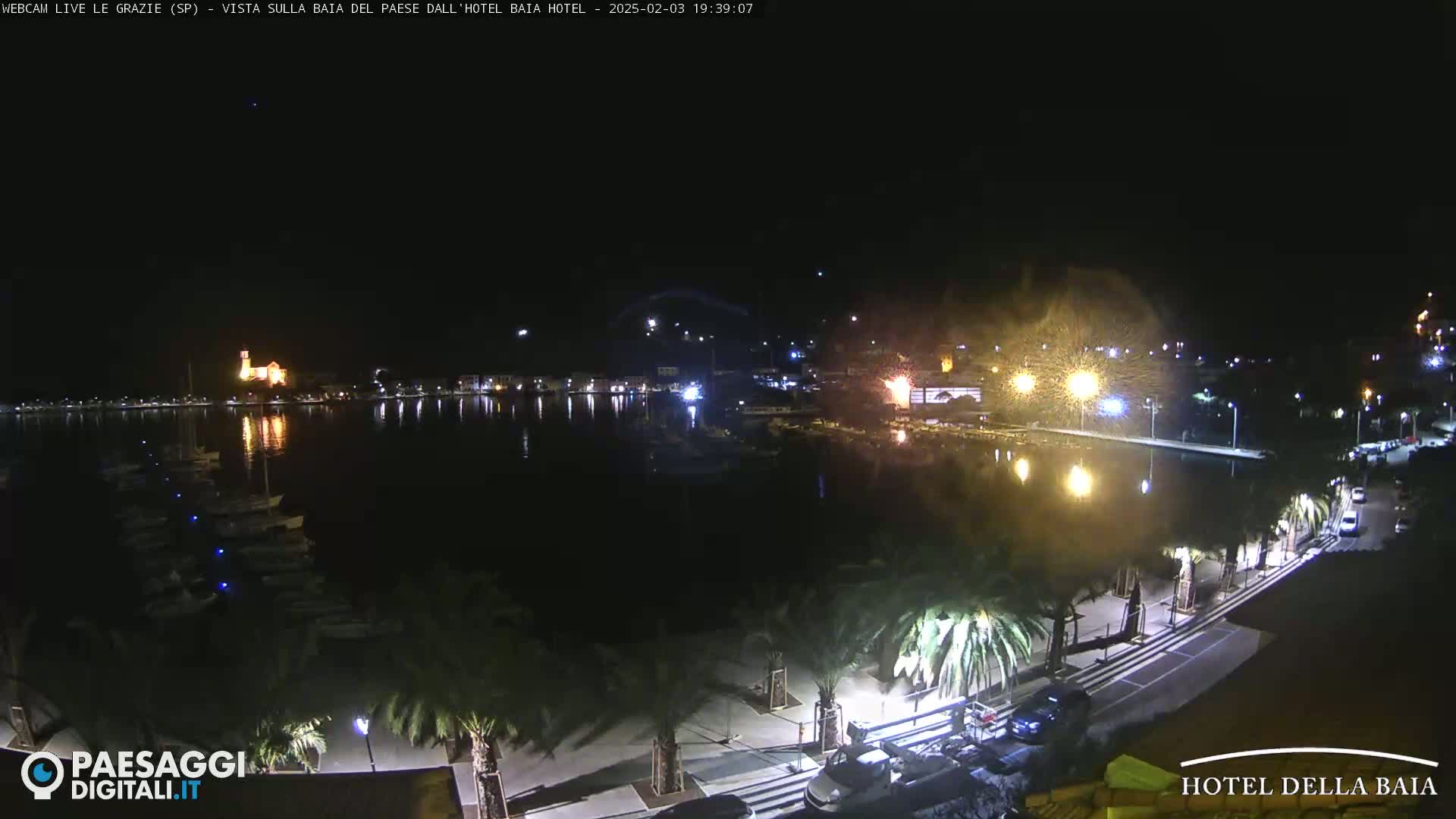 A nighttime view of a harbor, with boats moored and lights illuminating the waterfront and a town across the water.
