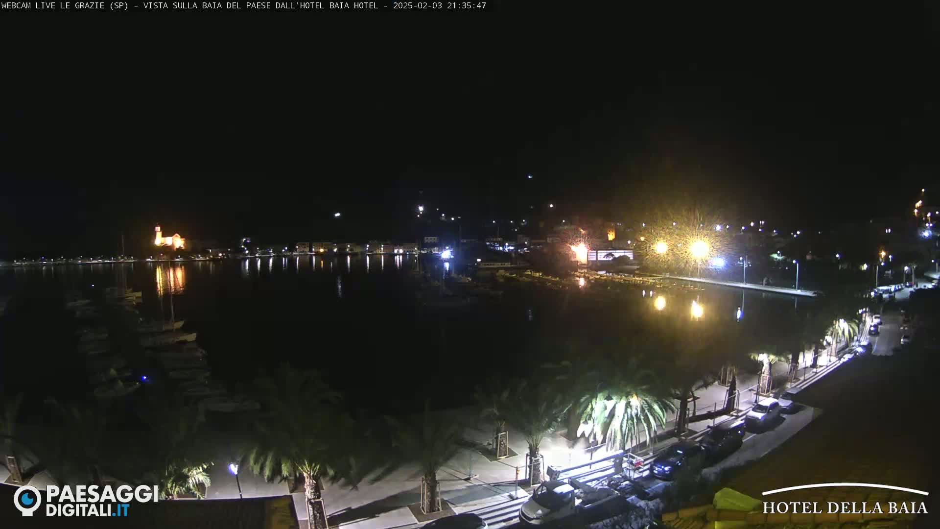 A nighttime view of a harbor with boats, a town illuminated along the shore, and palm trees lining a paved walkway.
