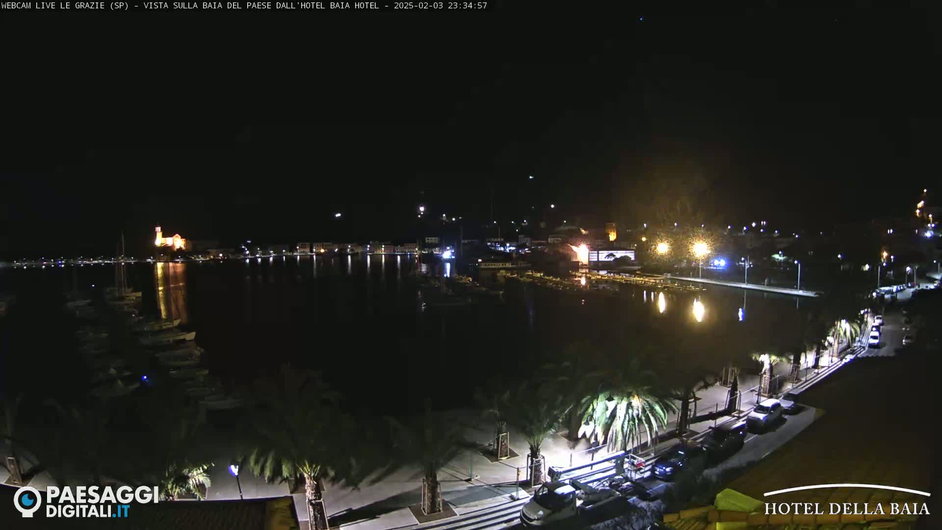 A nighttime view of a calm harbor with boats, illuminated buildings on the opposite shore, and palm trees lining a paved waterfront area.