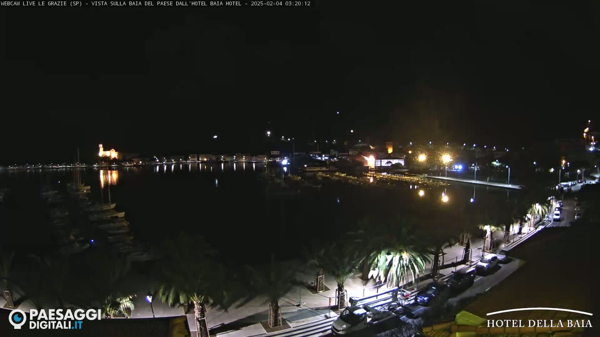 A nighttime view of a harbor filled with boats, a town with illuminated buildings, and a palm-tree-lined walkway along the waterfront.