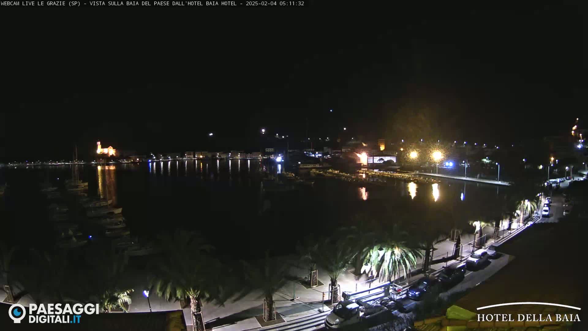 A nighttime view of a calm harbor with boats and a waterfront promenade lined with palm trees and cars under a clear, dark sky.