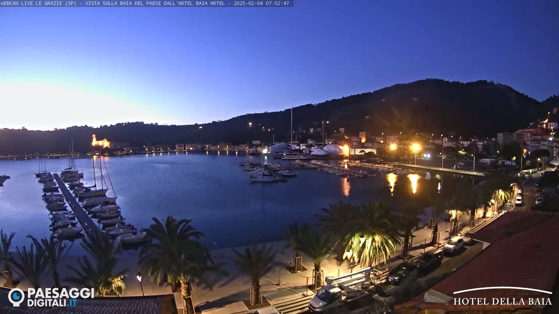 A harbor filled with boats at twilight, under a clear, dark blue sky, is bordered by a palm-tree lined walkway and illuminated buildings on a hillside.