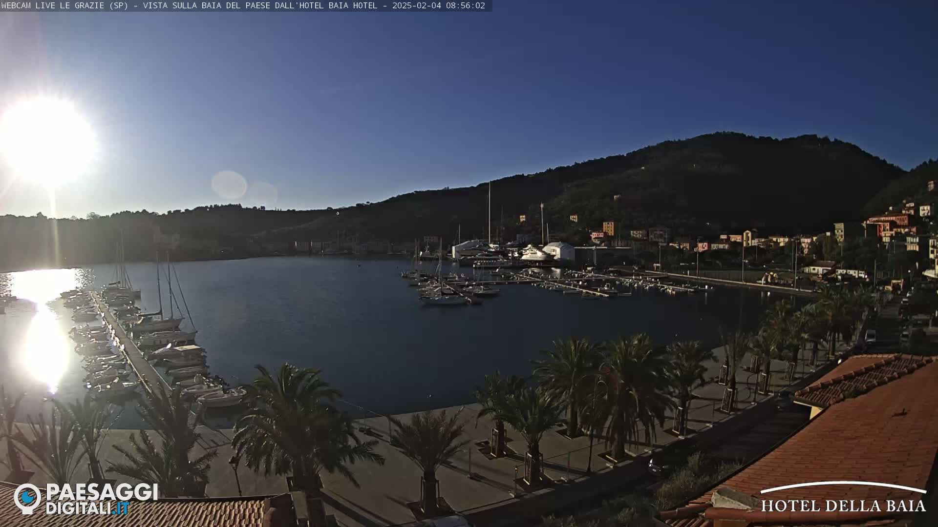 A sunny morning view of a harbor filled with boats, lined with palm trees and buildings on a hillside.