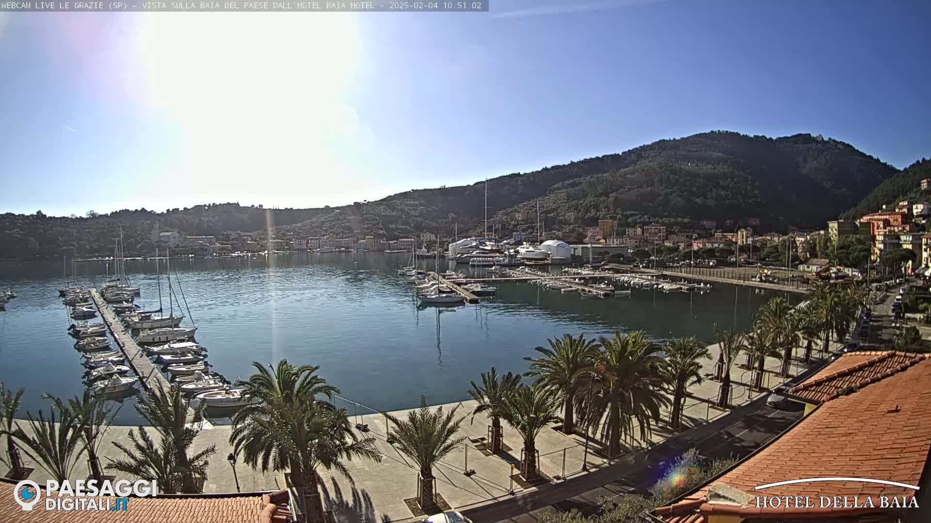 A sunny day overlooking a harbor filled with sailboats, a waterfront promenade lined with palm trees, and a hillside town nestled against a mountain.