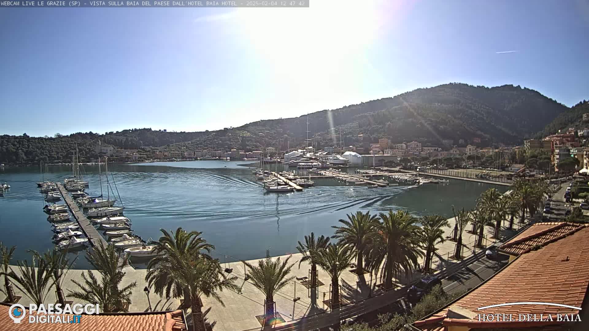 A sunny harbor scene shows a calm body of water with sailboats docked at a pier, palm trees lining a paved area, and a hillside town in the background.