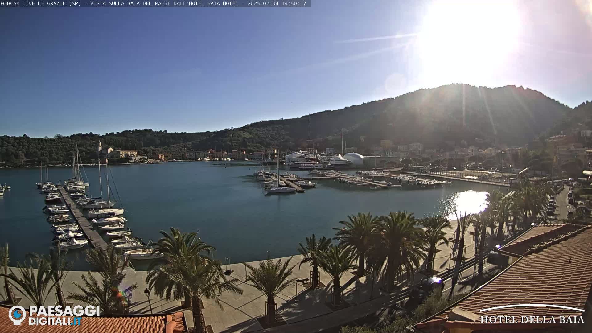 A sunny day overlooking a harbor filled with boats, a town nestled against a hillside, and palm trees lining a paved walkway.