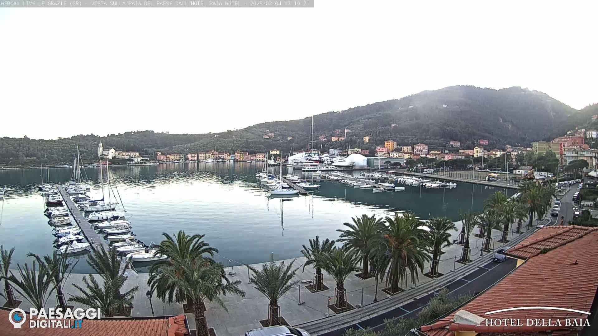 A harbor filled with boats is situated below a hill town under a mostly clear sky.