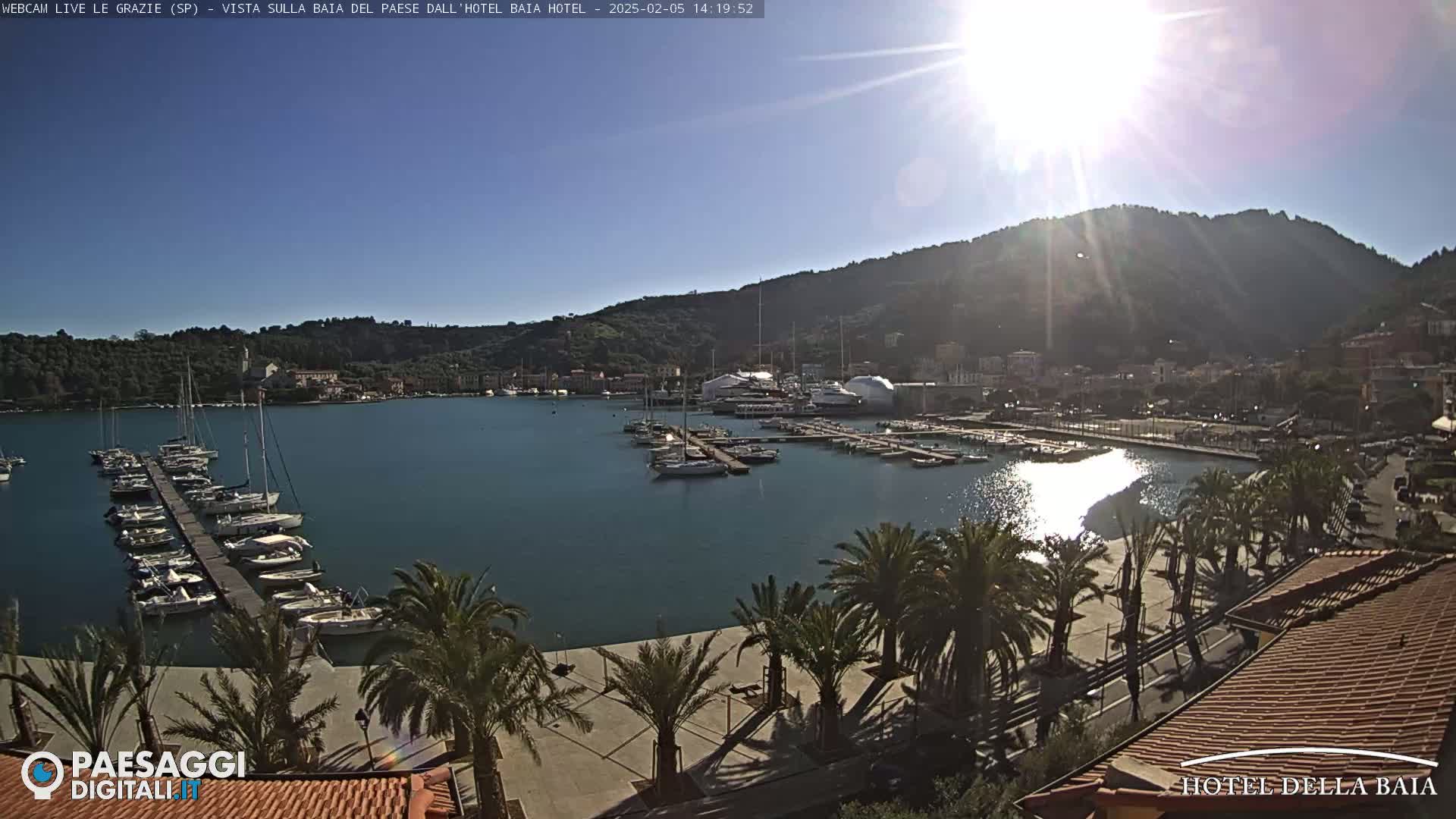A sunny day reveals a harbor filled with sailboats docked at a pier, surrounded by palm trees and a hillside town under a clear blue sky.