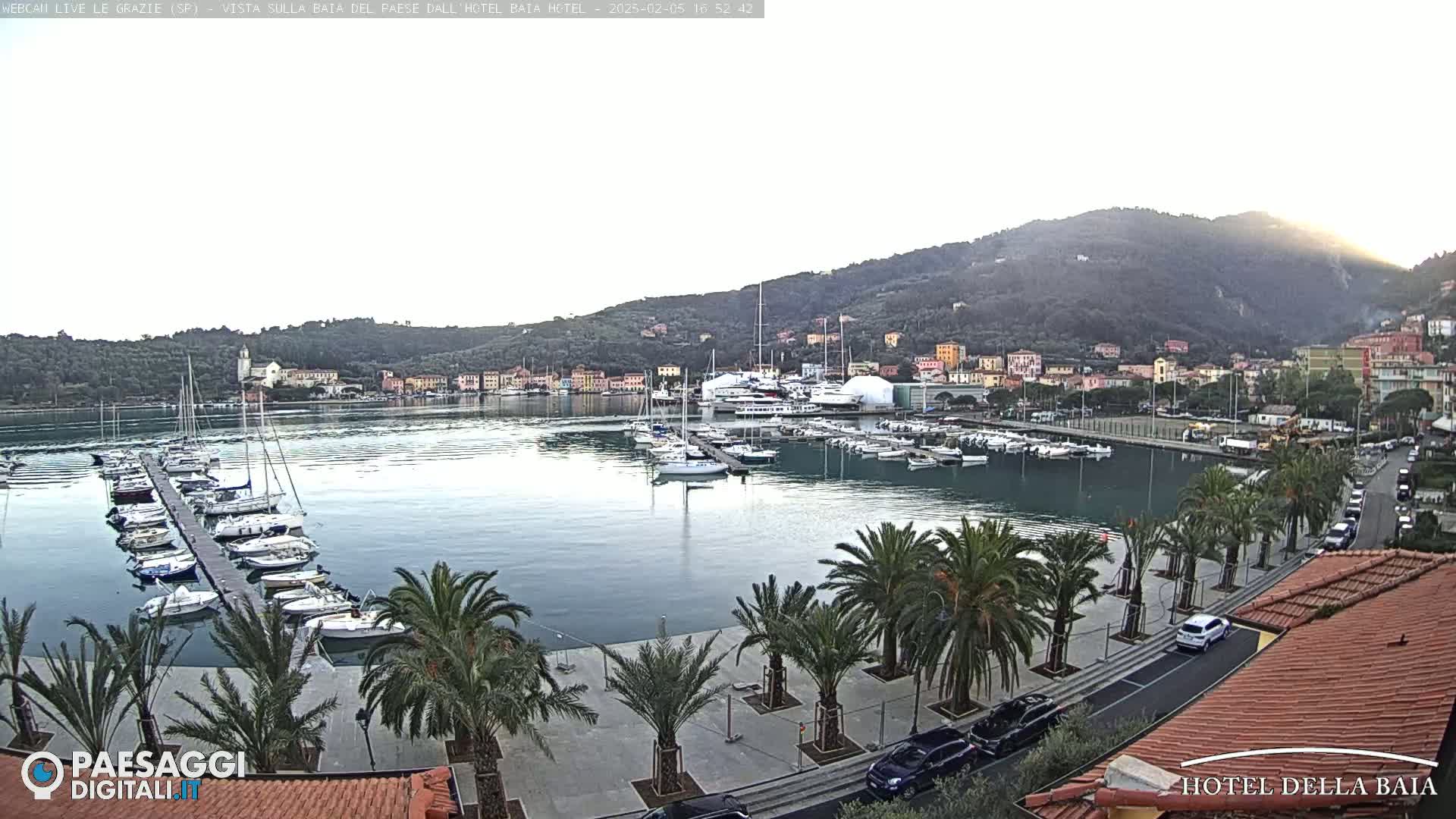 A harbor filled with boats is seen from an elevated vantage point, under a mostly clear sky, with palm trees lining a paved walkway along the waterfront and hills in the background.