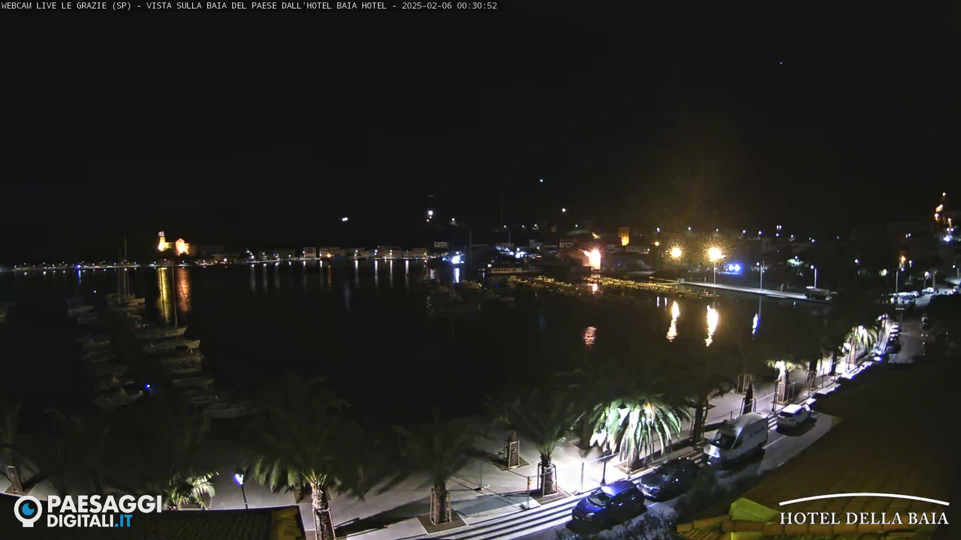 A nighttime view of a harbor filled with boats, a town with lights, and a palm-lined walkway.