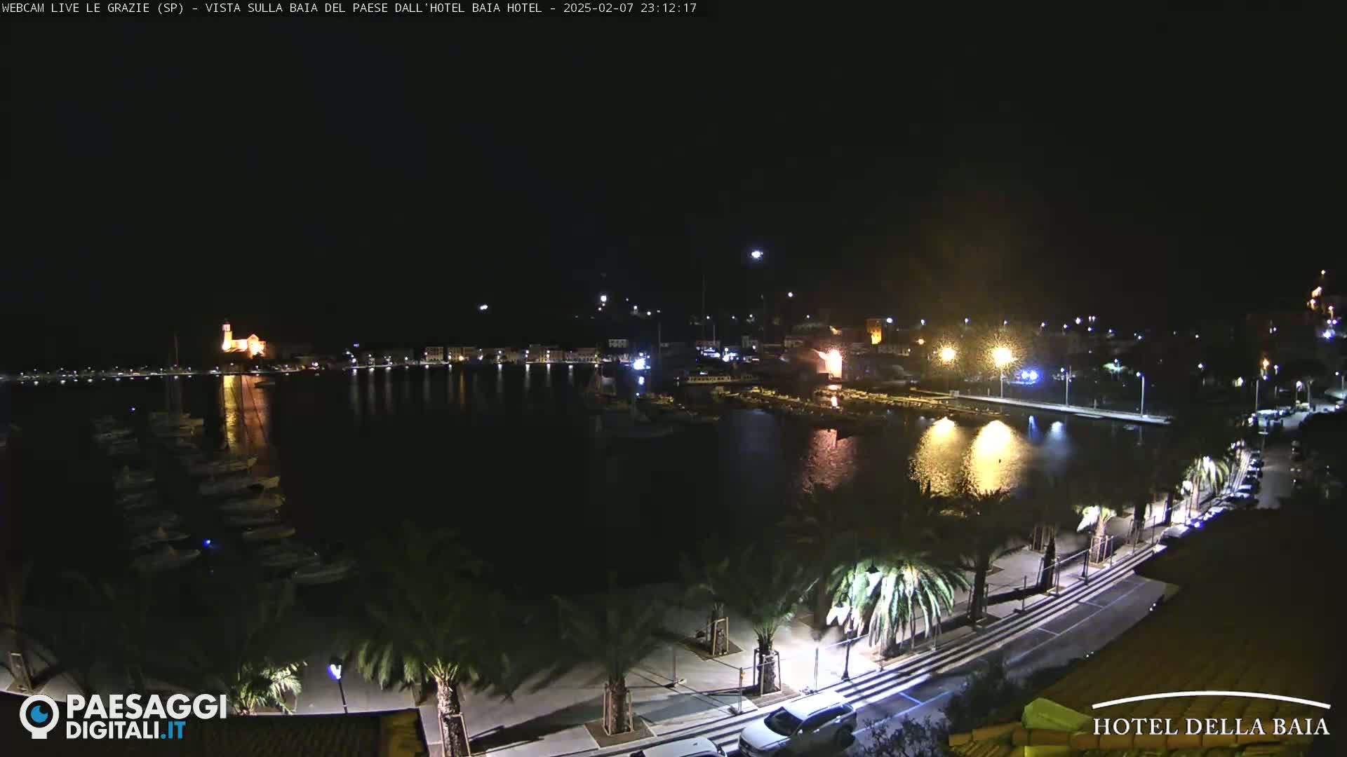 A nighttime view of a harbor filled with boats, a town illuminated with lights, and a palm tree-lined road, all under a clear, dark sky.