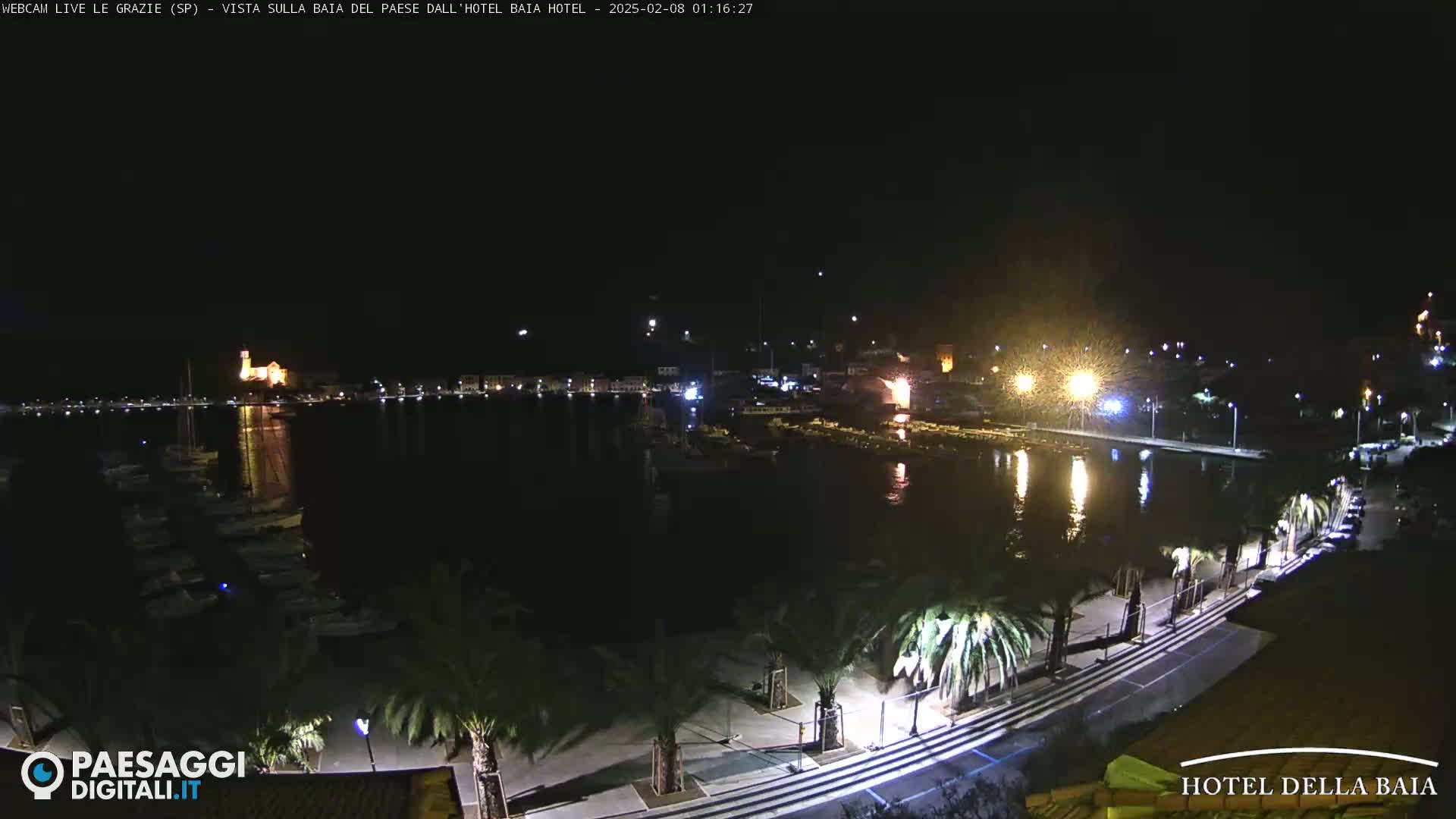 A nighttime view of a harbor filled with boats, a town lit up on the far shore, and a palm tree-lined walkway along the water's edge.