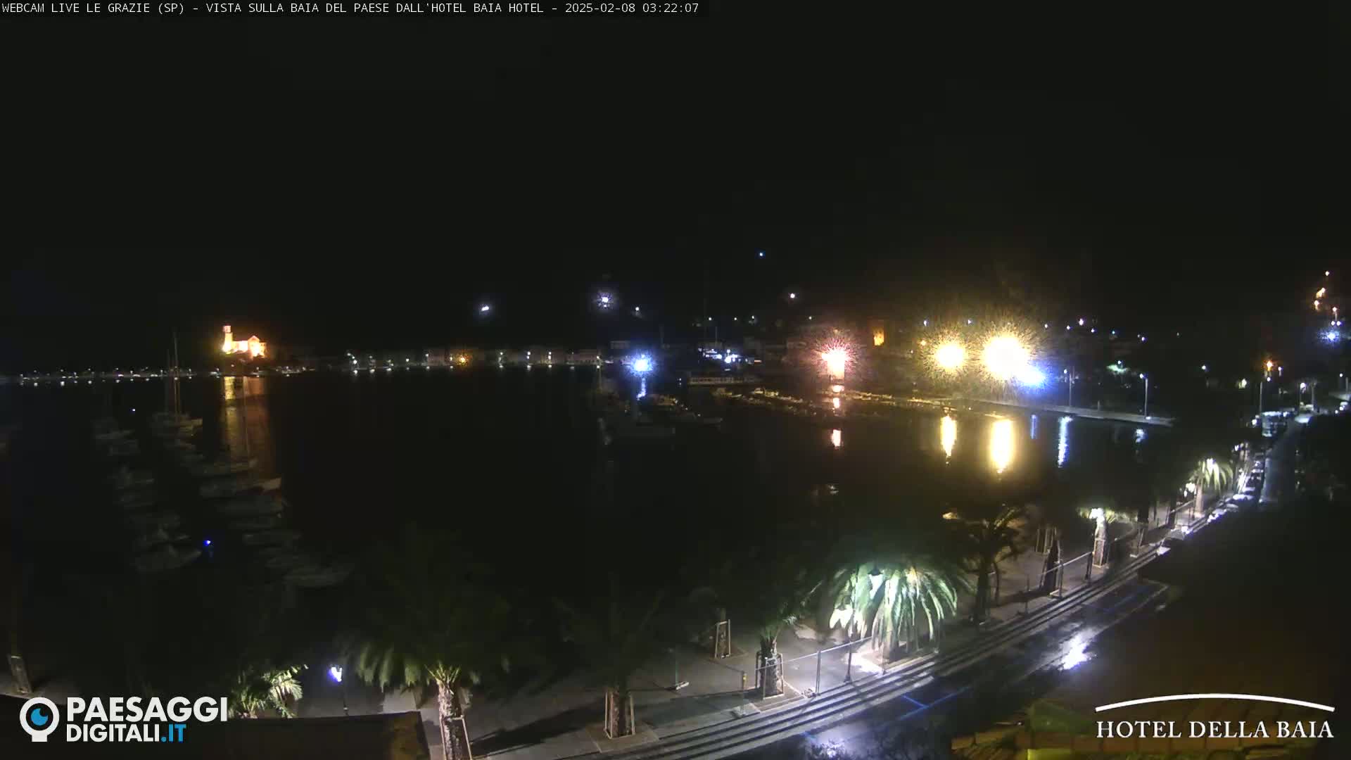 A nighttime view of a harbor with boats, illuminated buildings, and palm trees lining a waterfront walkway.