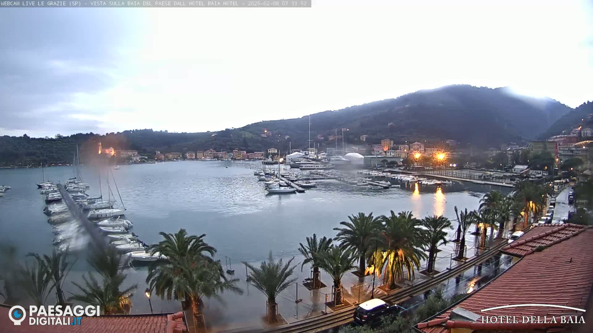A harbor filled with boats is shown, with palm trees lining a wet waterfront under an overcast sky.