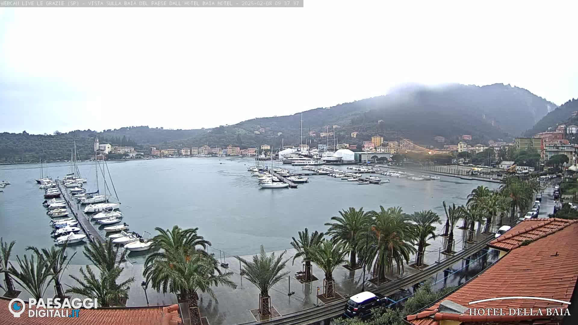 A harbor filled with sailboats is seen under an overcast sky, with rain falling on palm trees lining a paved area next to a hillside town.