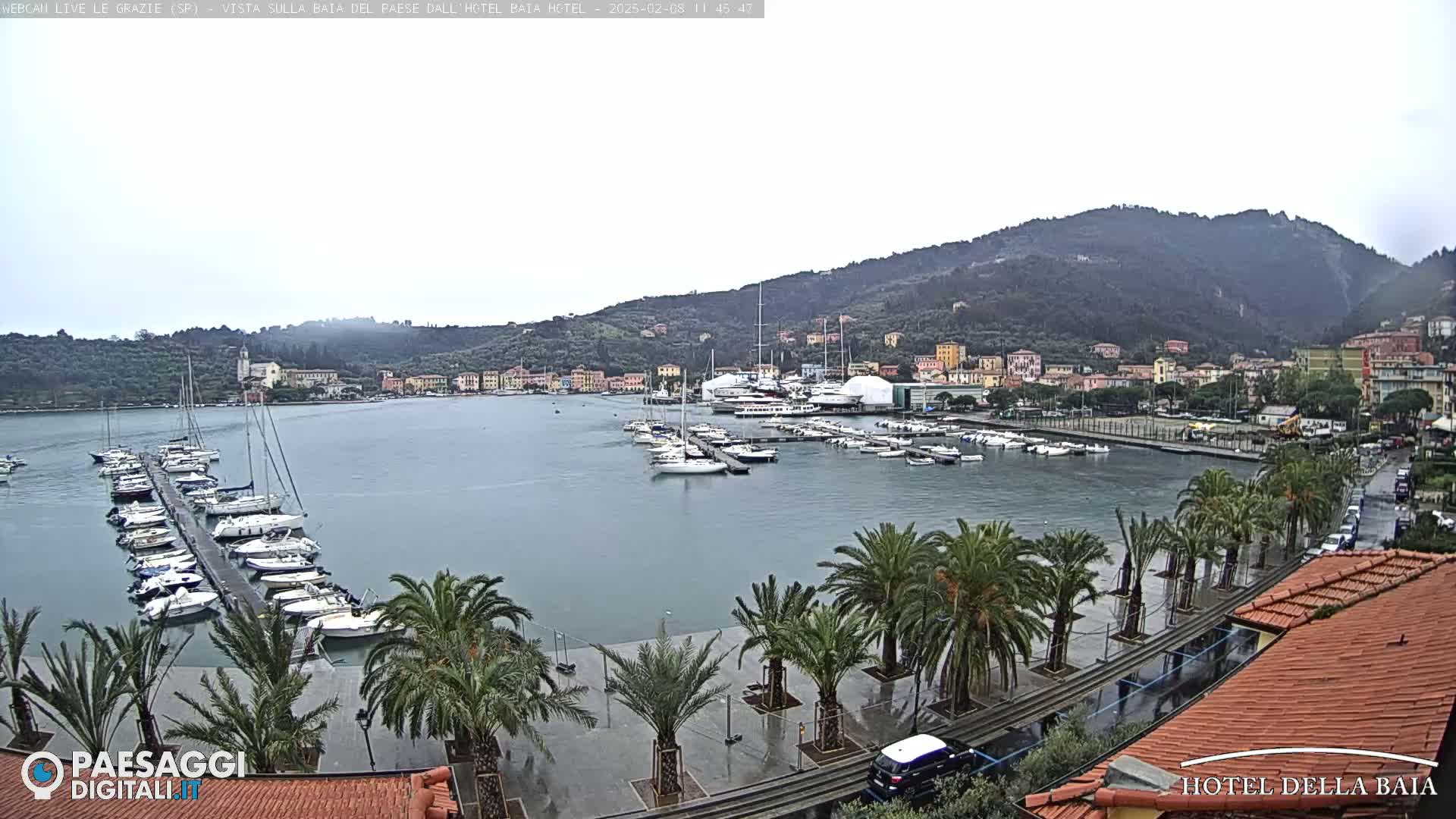 A harbor filled with sailboats and yachts is shown under an overcast sky, with palm trees lining a waterfront promenade in the foreground.