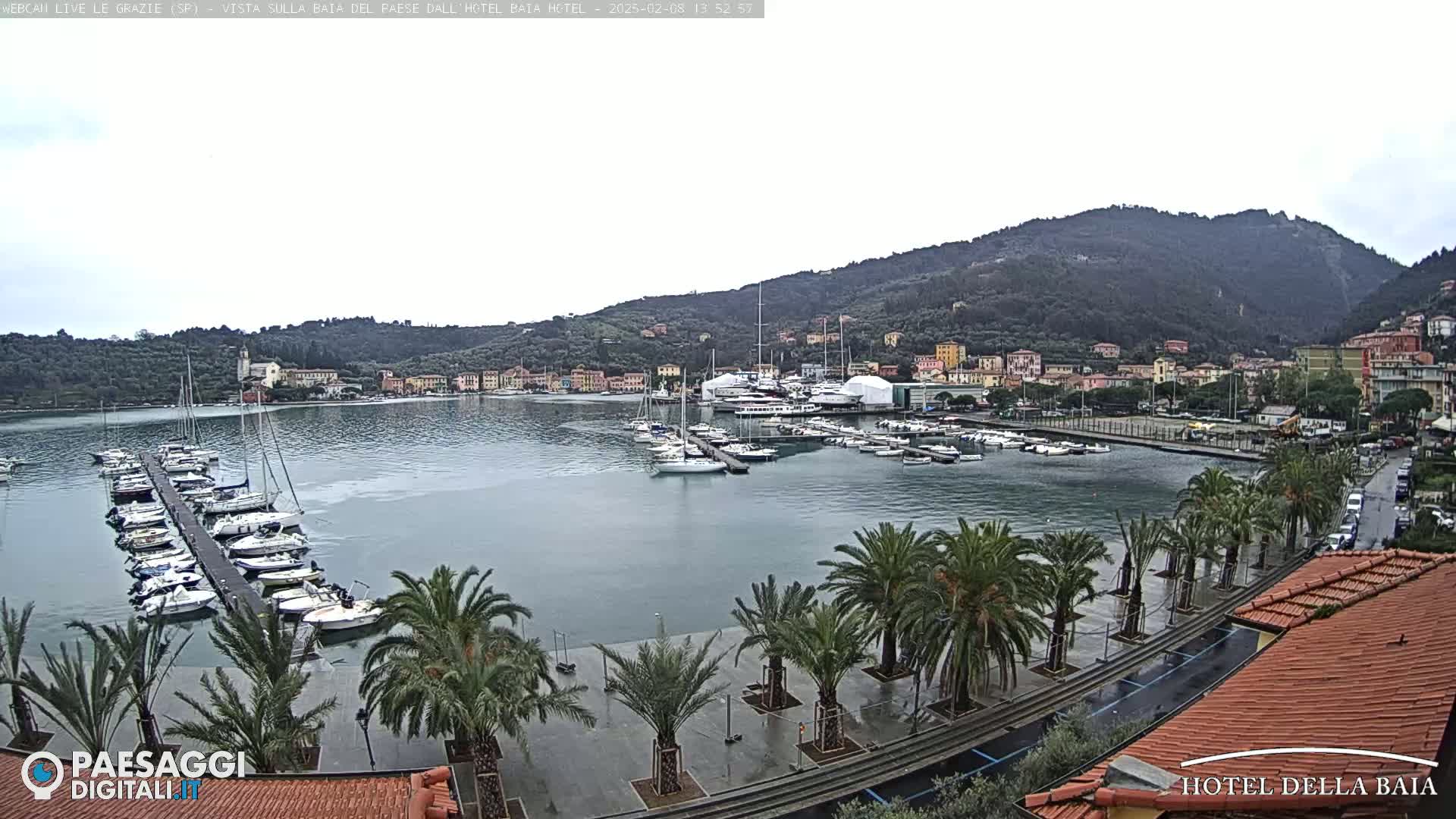 A harbor filled with sailboats and yachts is seen under an overcast sky, with palm trees lining a paved waterfront and hills in the background.
