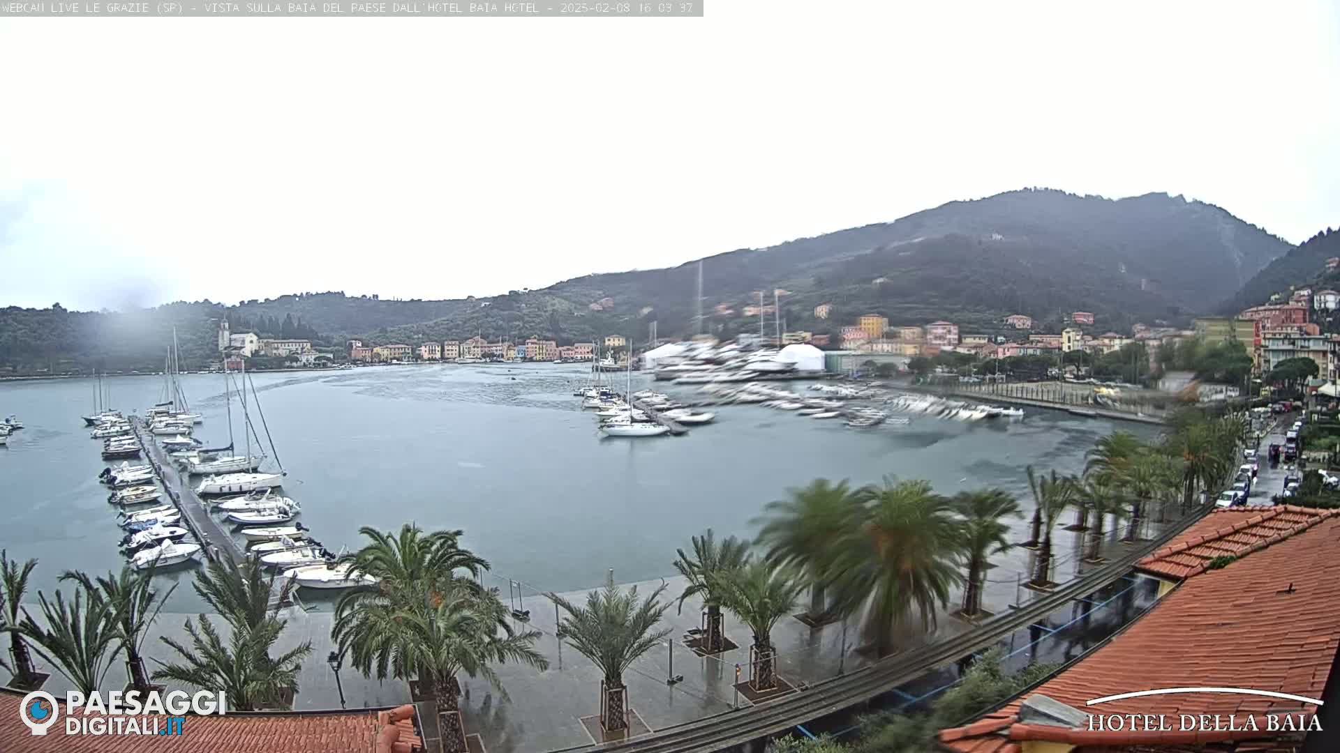 A harbor filled with boats is shown under an overcast sky, with palm trees lining a walkway in the foreground and hills in the background.