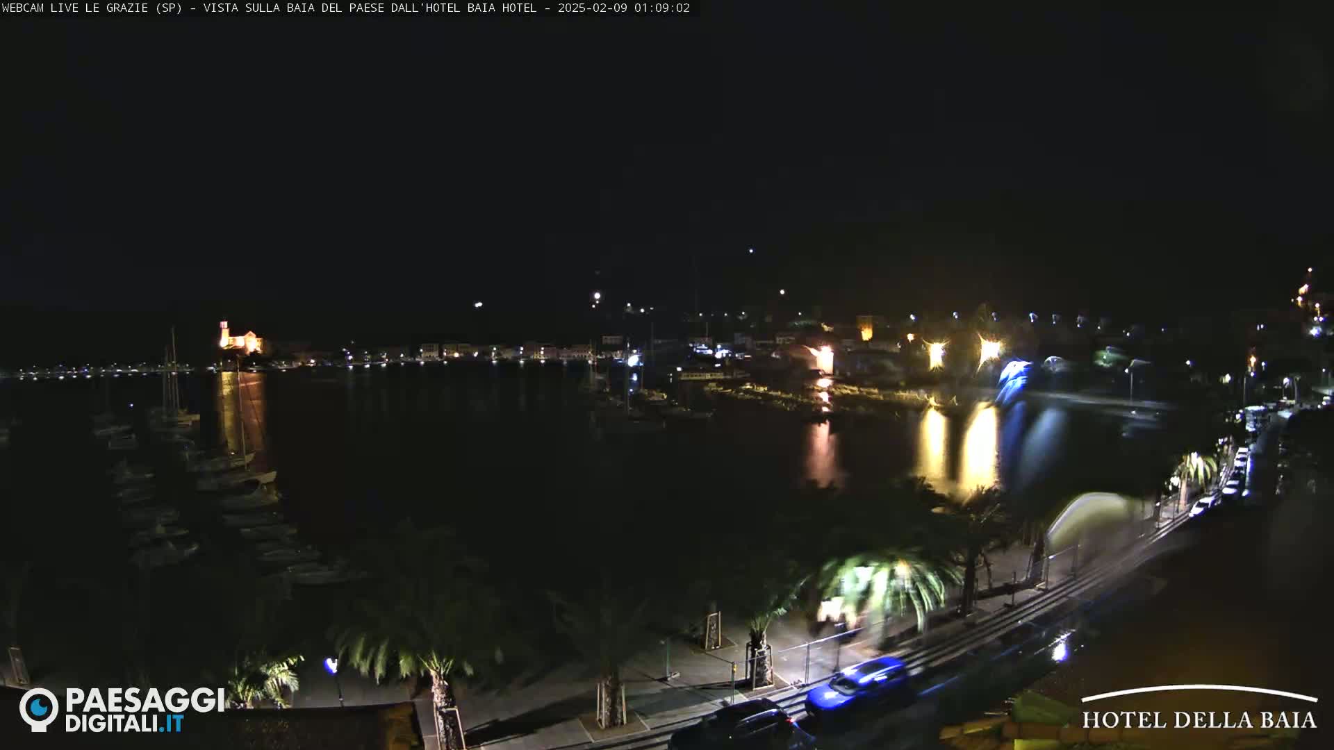 A nighttime view of a harbor with boats, illuminated buildings along the shore, palm trees lining a road, and a few cars driving.