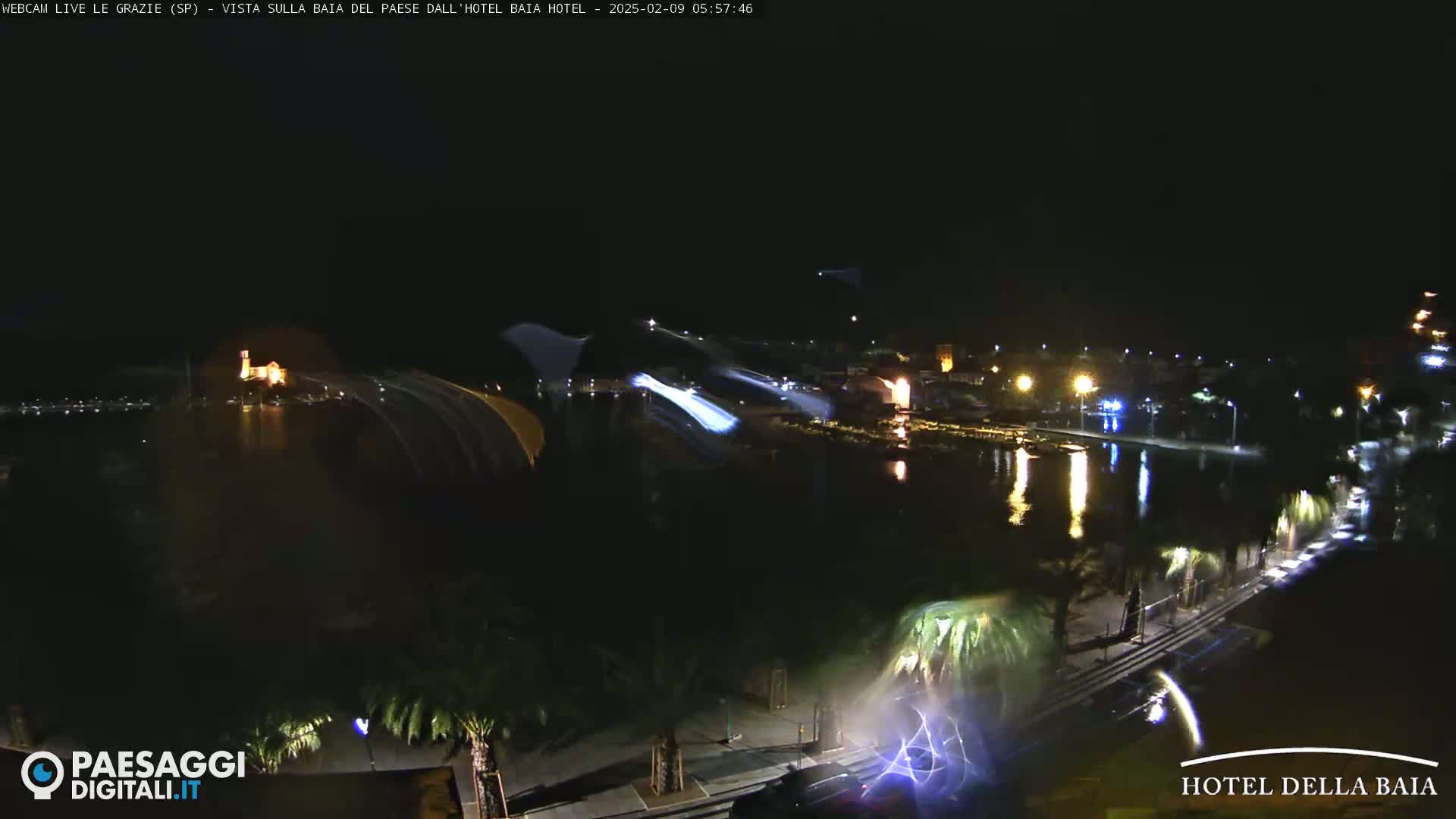 A nighttime view of a waterfront town with palm trees lining a paved walkway, illuminated buildings across a calm body of water, and streaks of light in the sky.