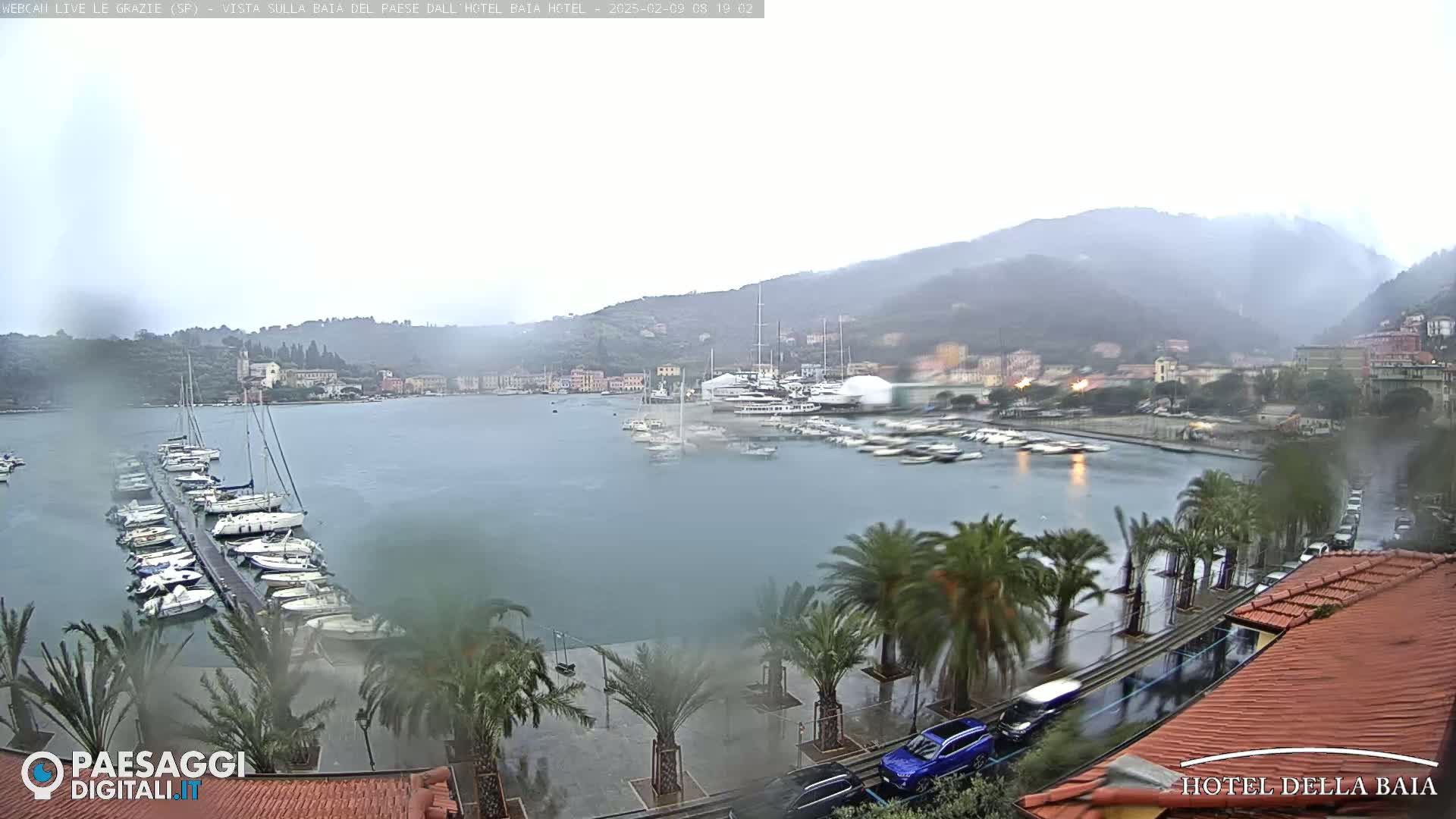 A rain-swept harbor scene shows numerous sailboats docked, palm trees lining a wet roadway, and buildings on a hillside in the background.