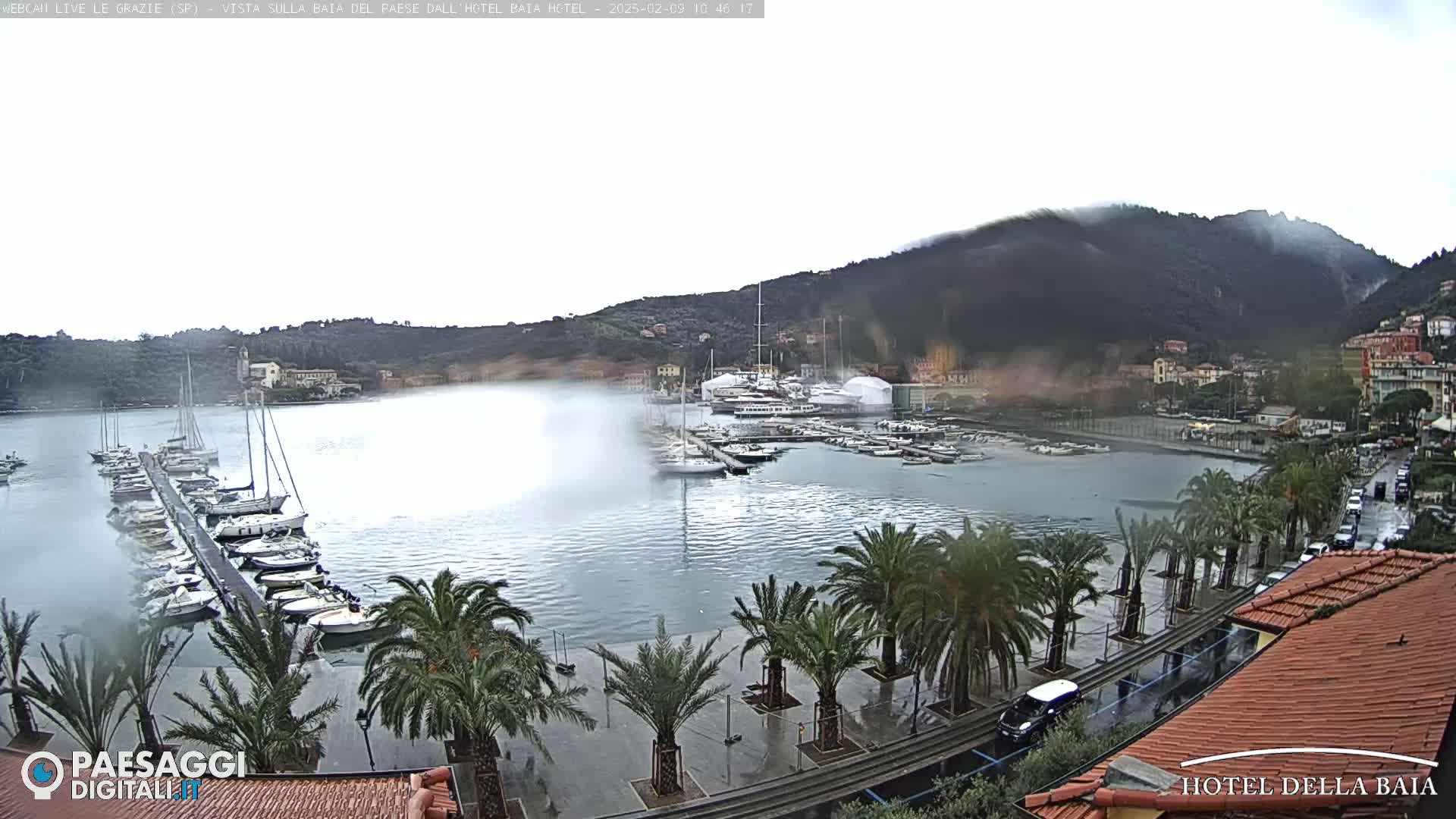 A harbor filled with sailboats and yachts is seen under an overcast sky, with rain falling on a palm tree-lined promenade beside a roadway.