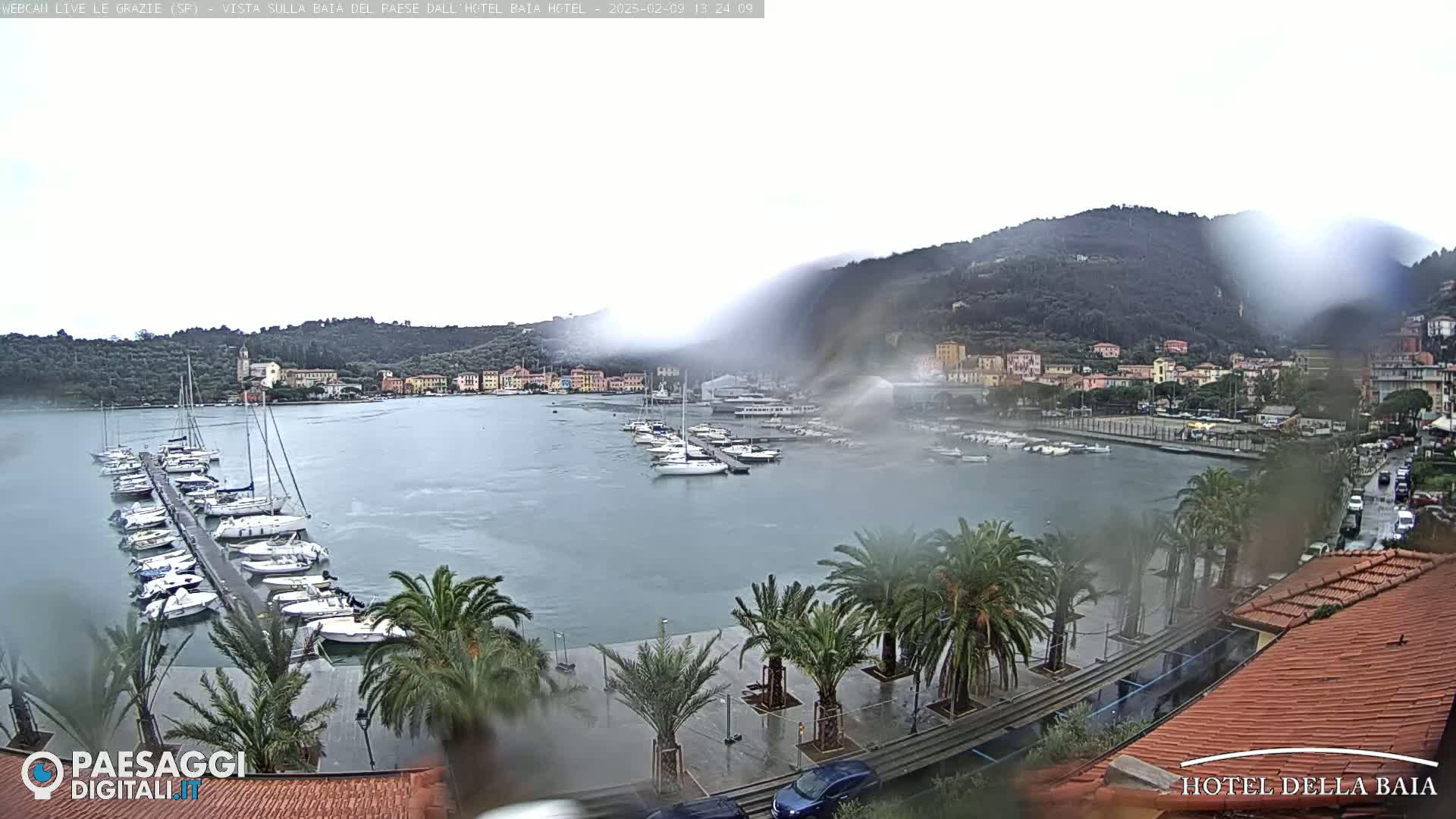 Rain falls on a harbor filled with boats, a waterfront promenade lined with palm trees, and a hillside town in the background.