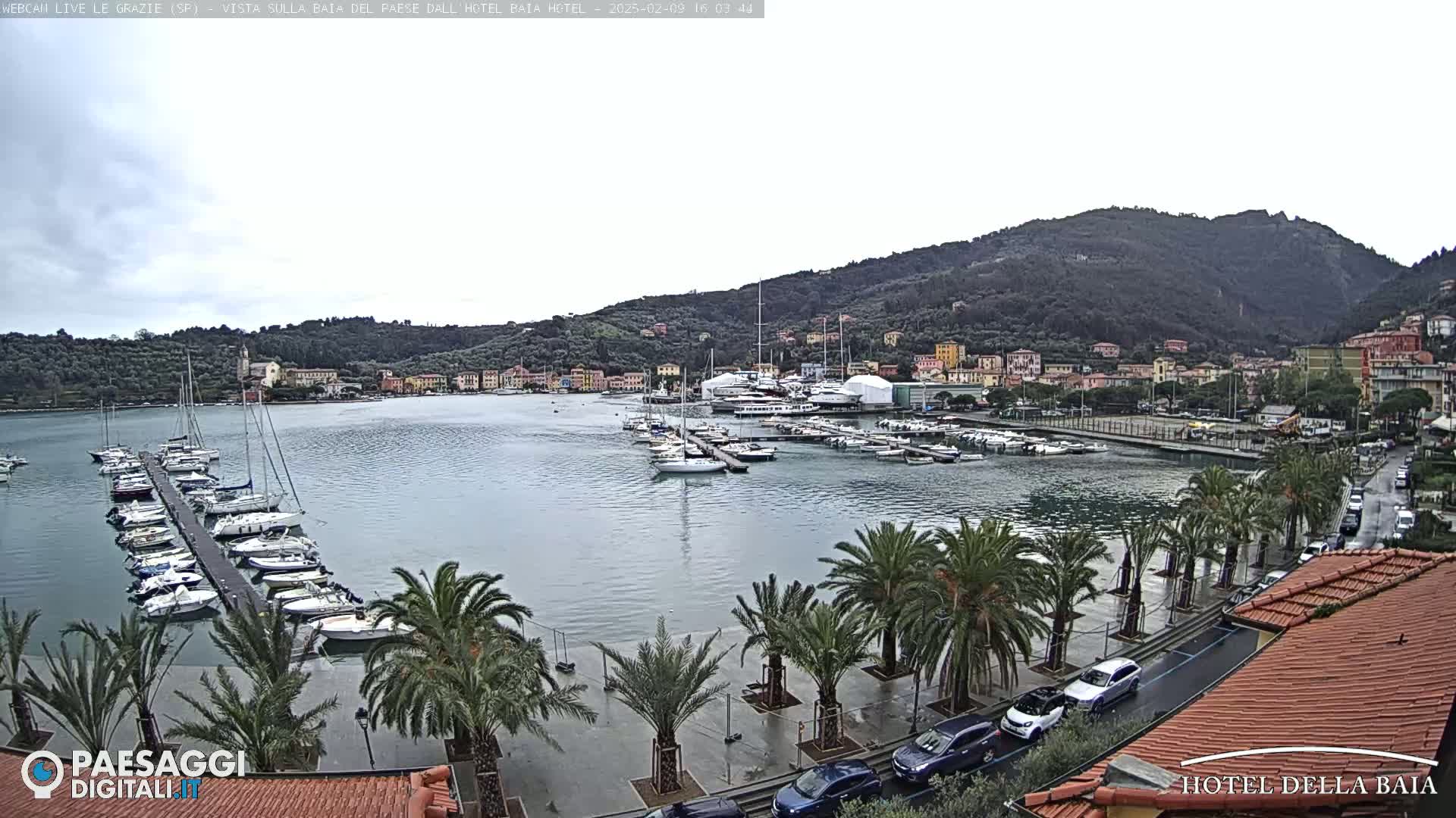 A harbor filled with sailboats and yachts is nestled in a bay, bordered by a town situated at the foot of a verdant, mountainous landscape under an overcast sky.