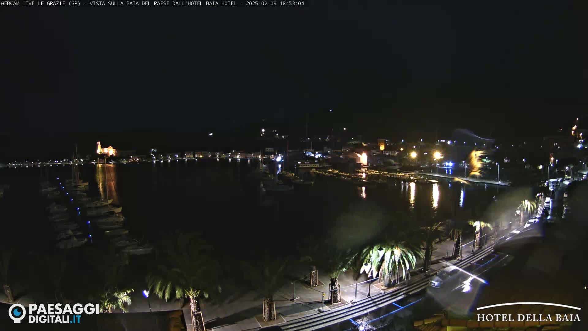 A nighttime view of a harbor with boats docked, illuminated buildings along the shore, and palm trees lining a waterfront road.