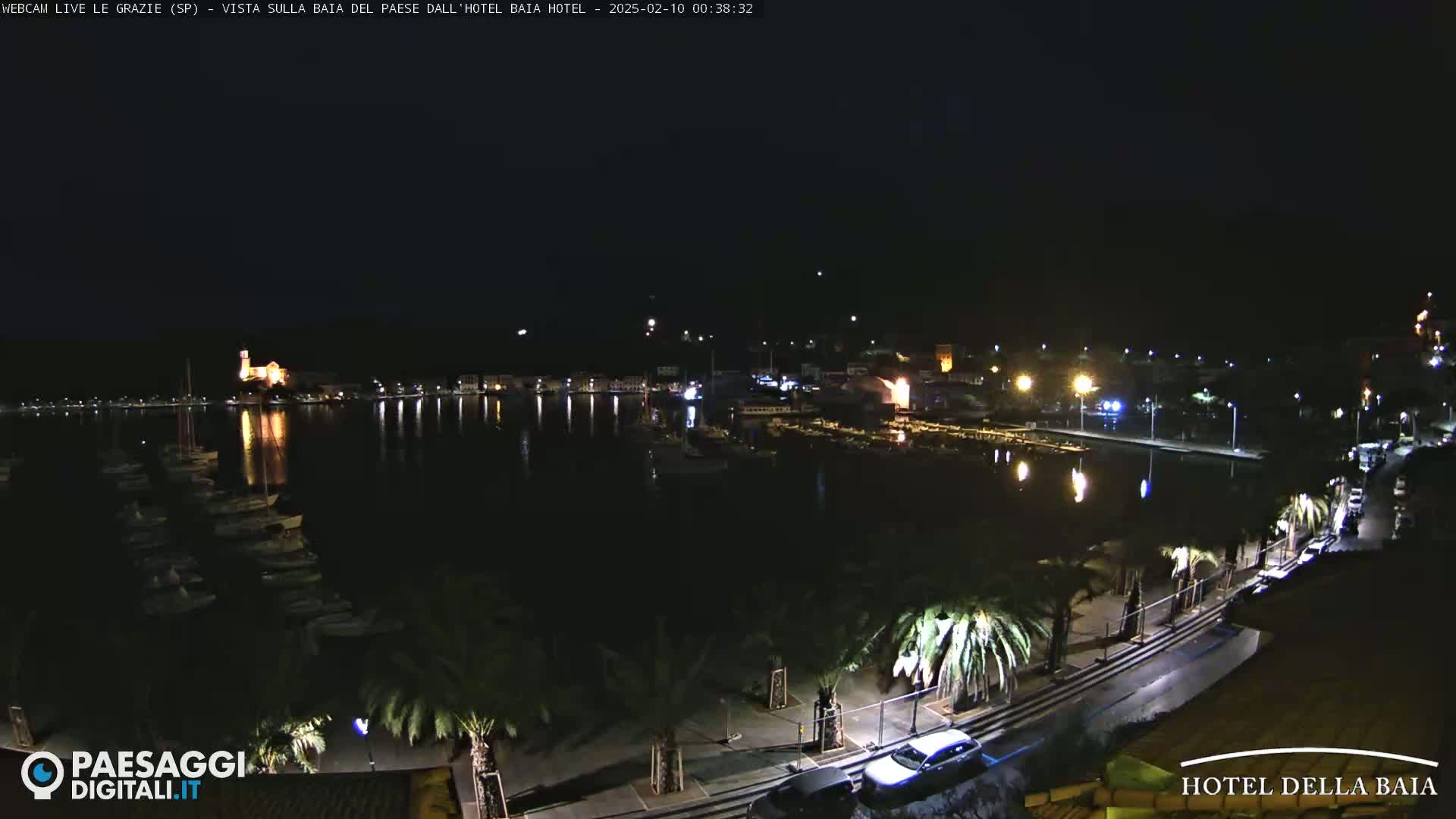 A nighttime view of a harbor with boats, illuminated buildings, and palm trees lining a waterfront road under a clear, dark sky.
