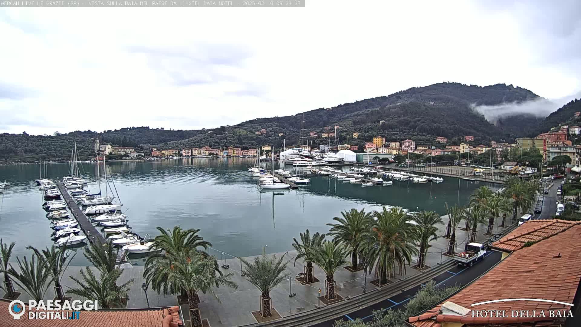 A harbor filled with sailboats and yachts is situated below a hillside town partially obscured by fog, under an overcast sky.