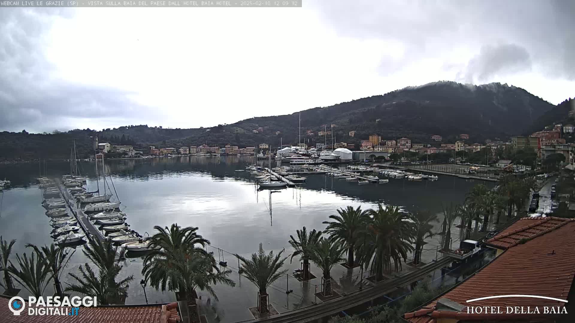 A harbor filled with boats is shown under an overcast sky, with palm trees lining the waterfront and hills in the background.