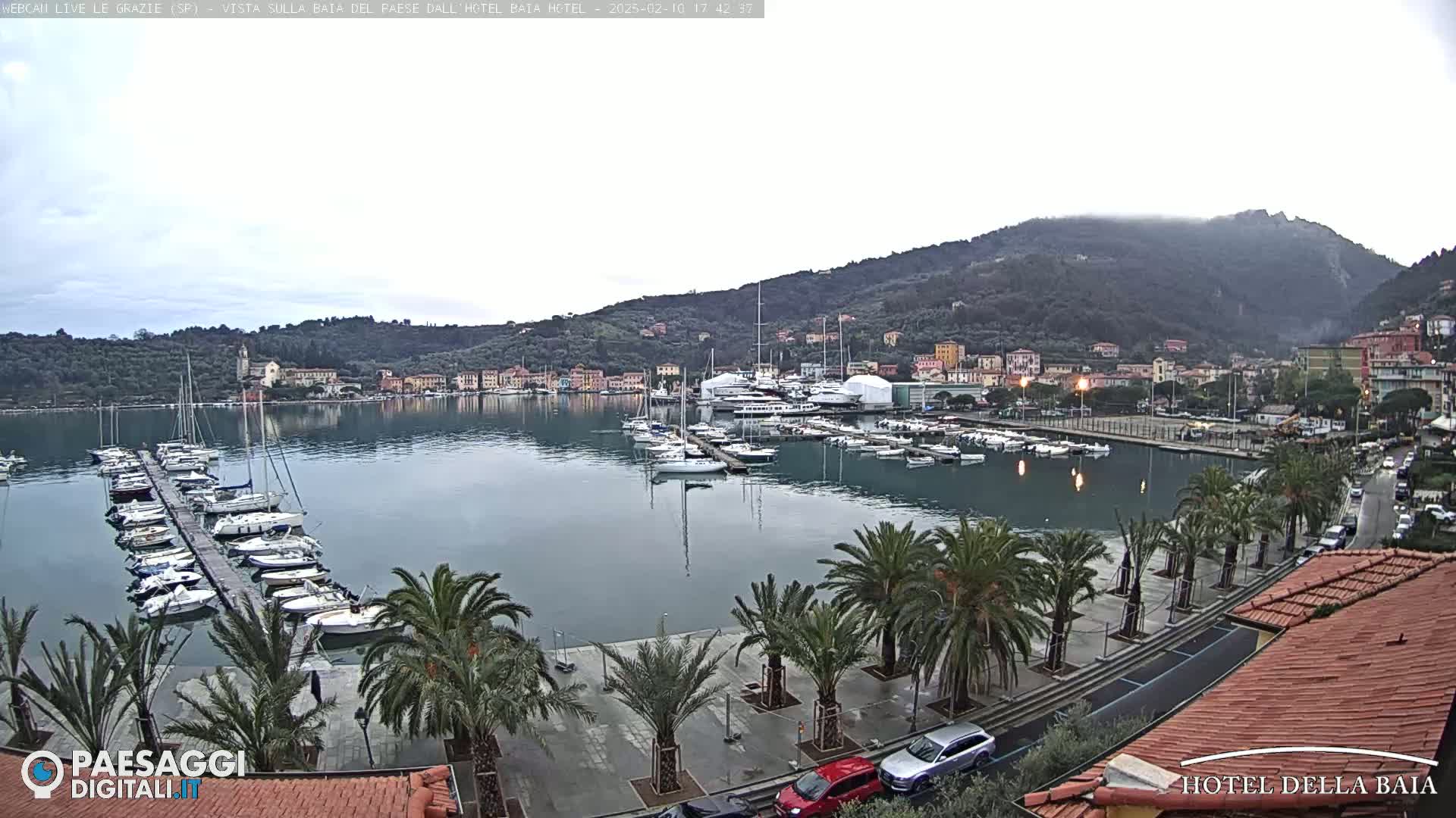 A harbor filled with sailboats and yachts is nestled below a hillside town under an overcast sky.