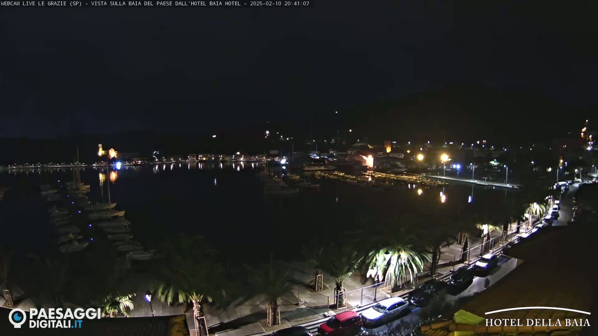 A nighttime view of a harbor filled with boats, a town with lights, and a palm tree-lined roadway.