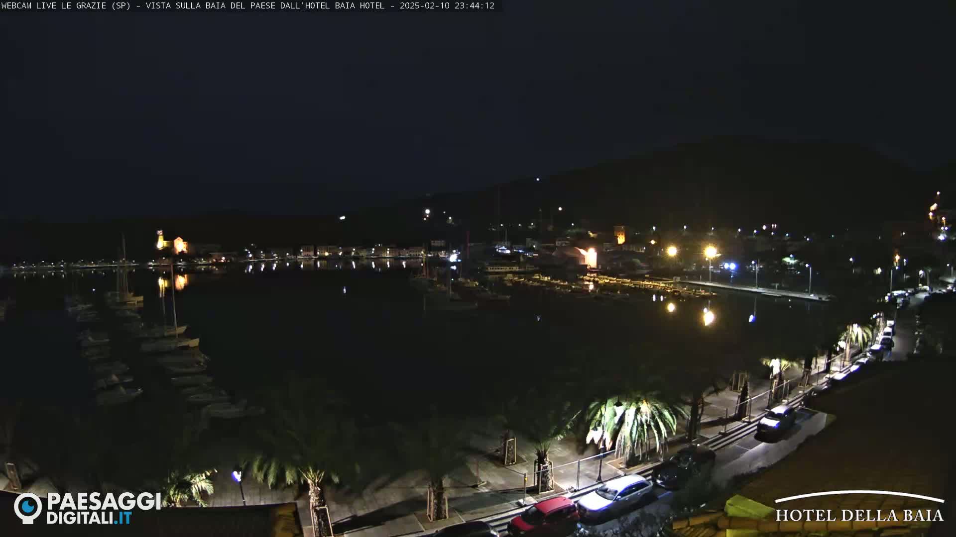 A nighttime view of a harbor filled with boats, lined with palm trees and cars along a roadway, under a clear, dark sky.