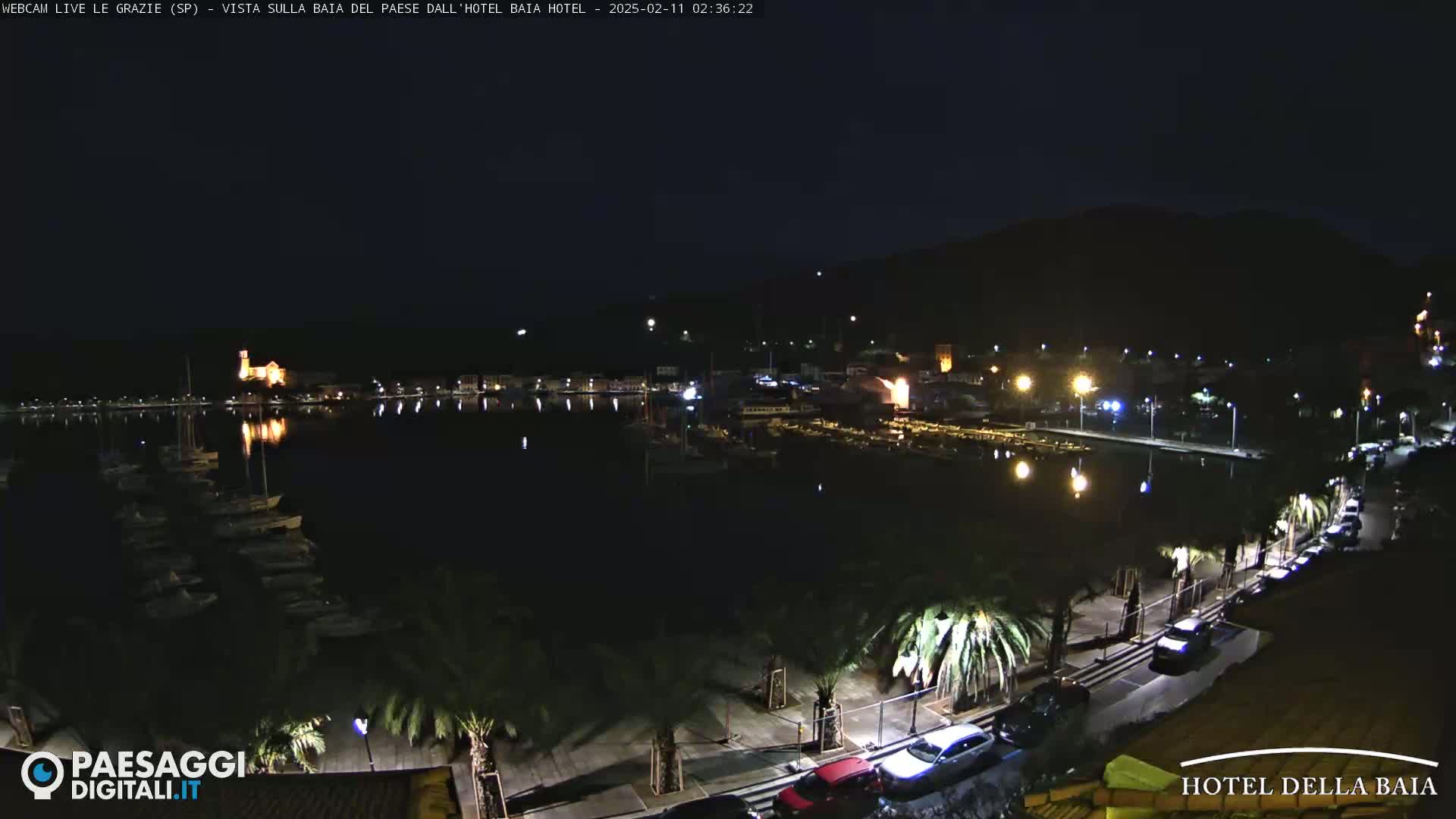 A nighttime harbor scene shows a calm body of water with docked boats, illuminated buildings lining the shore, and palm trees along a roadway.