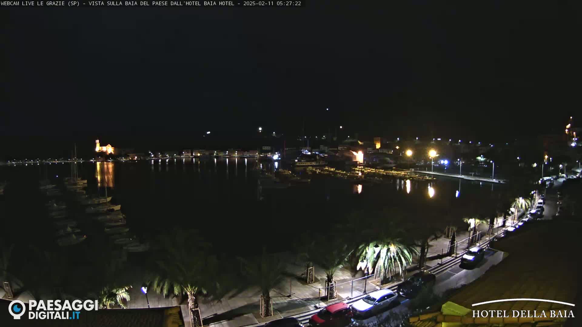 A nighttime view of a harbor filled with boats, lined with palm trees and cars, under a clear, dark sky.