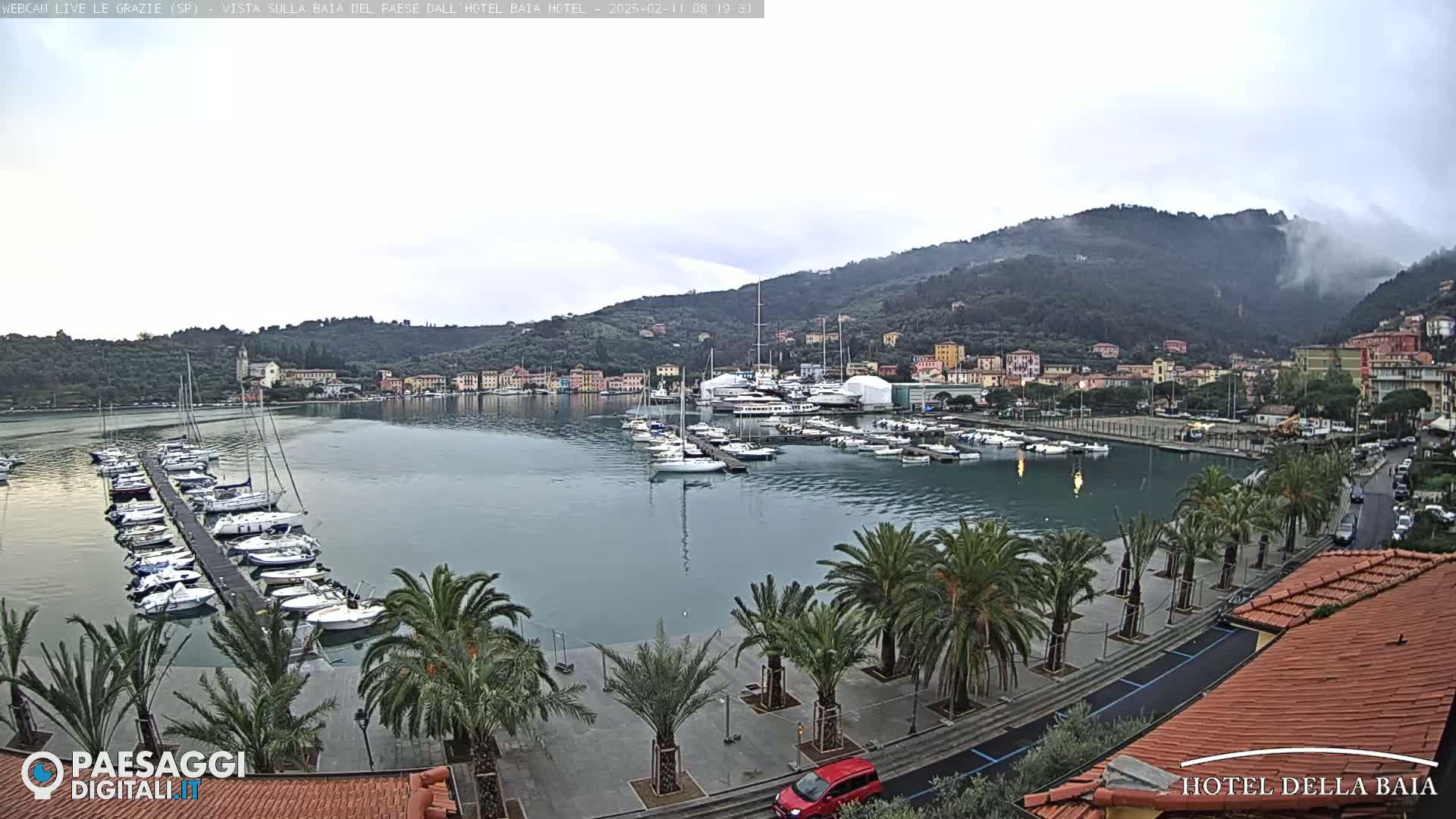 A harbor filled with boats is nestled between a town and a mountain shrouded in mist.
