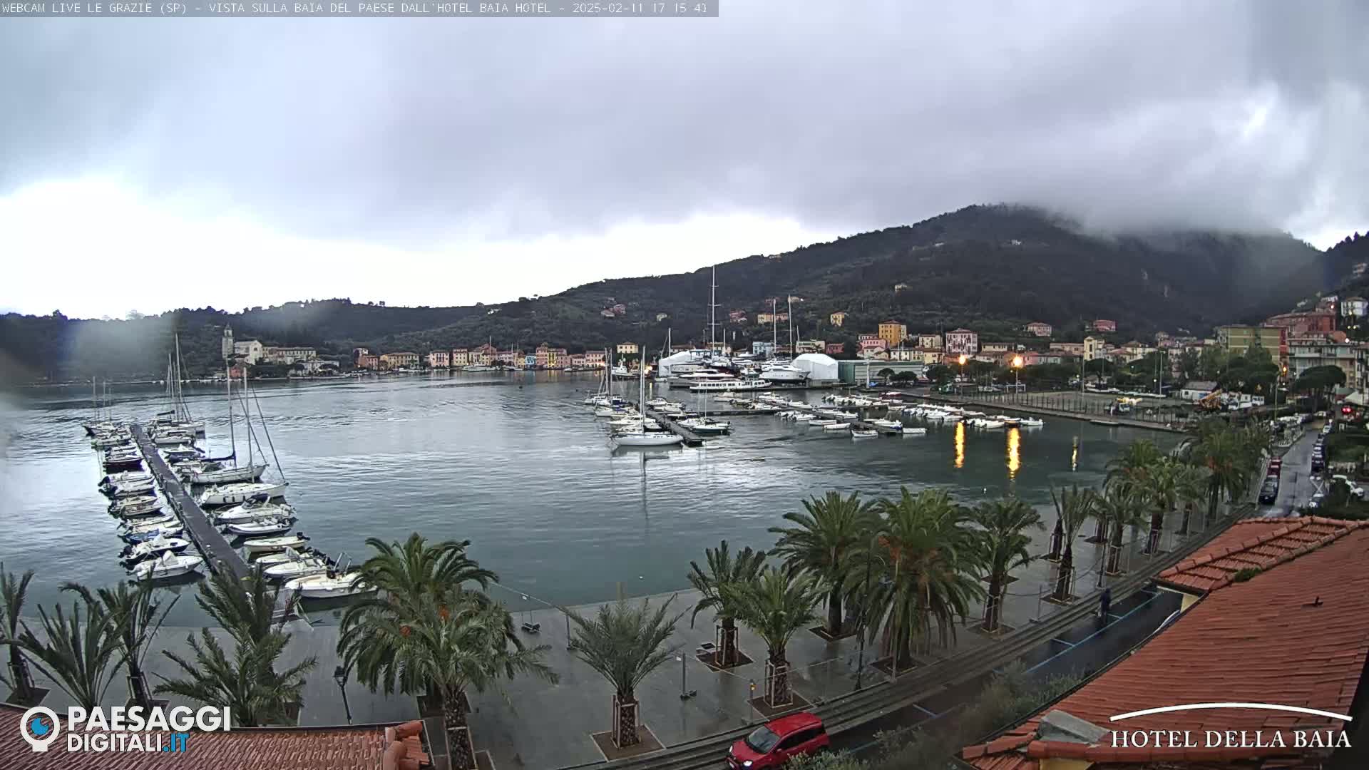 A harbor filled with sailboats and yachts is situated below a hill shrouded in fog under an overcast sky, palm trees line the waterfront.