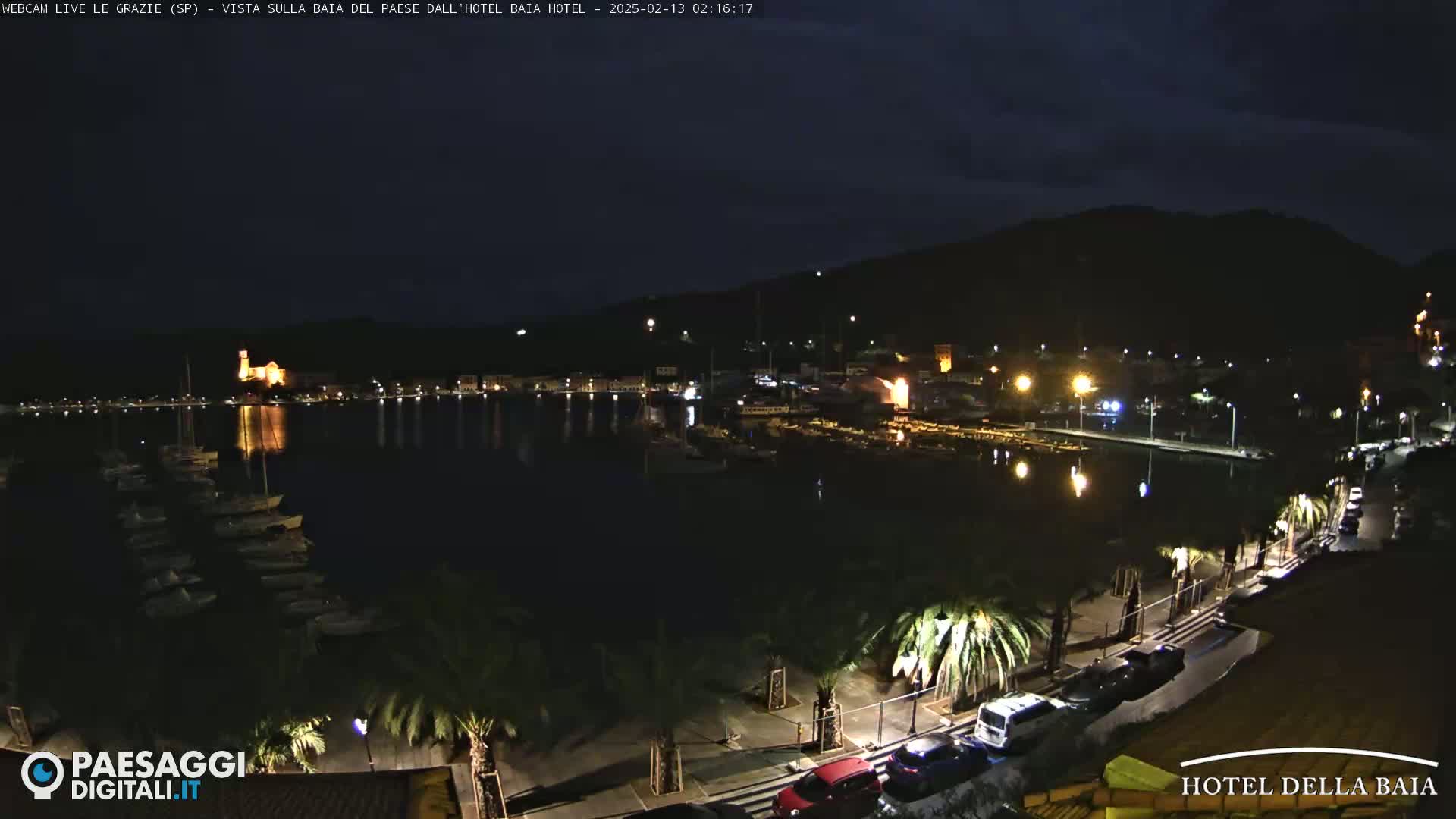A nighttime view of a harbor town with boats docked, lit buildings, and palm trees lining a roadway, under a dark, mostly clear sky.