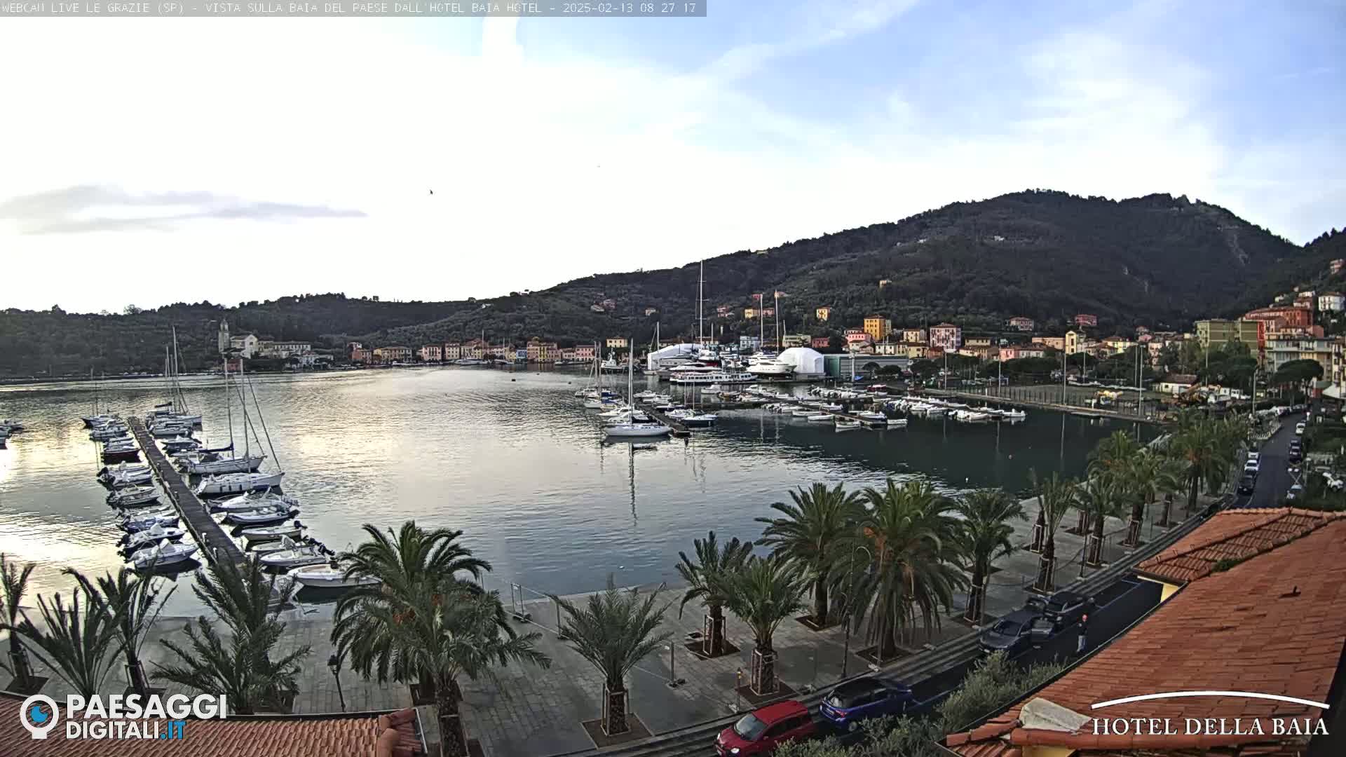 A harbor filled with sailboats and yachts is nestled beside a town situated at the base of a verdant hill under a partly cloudy sky.