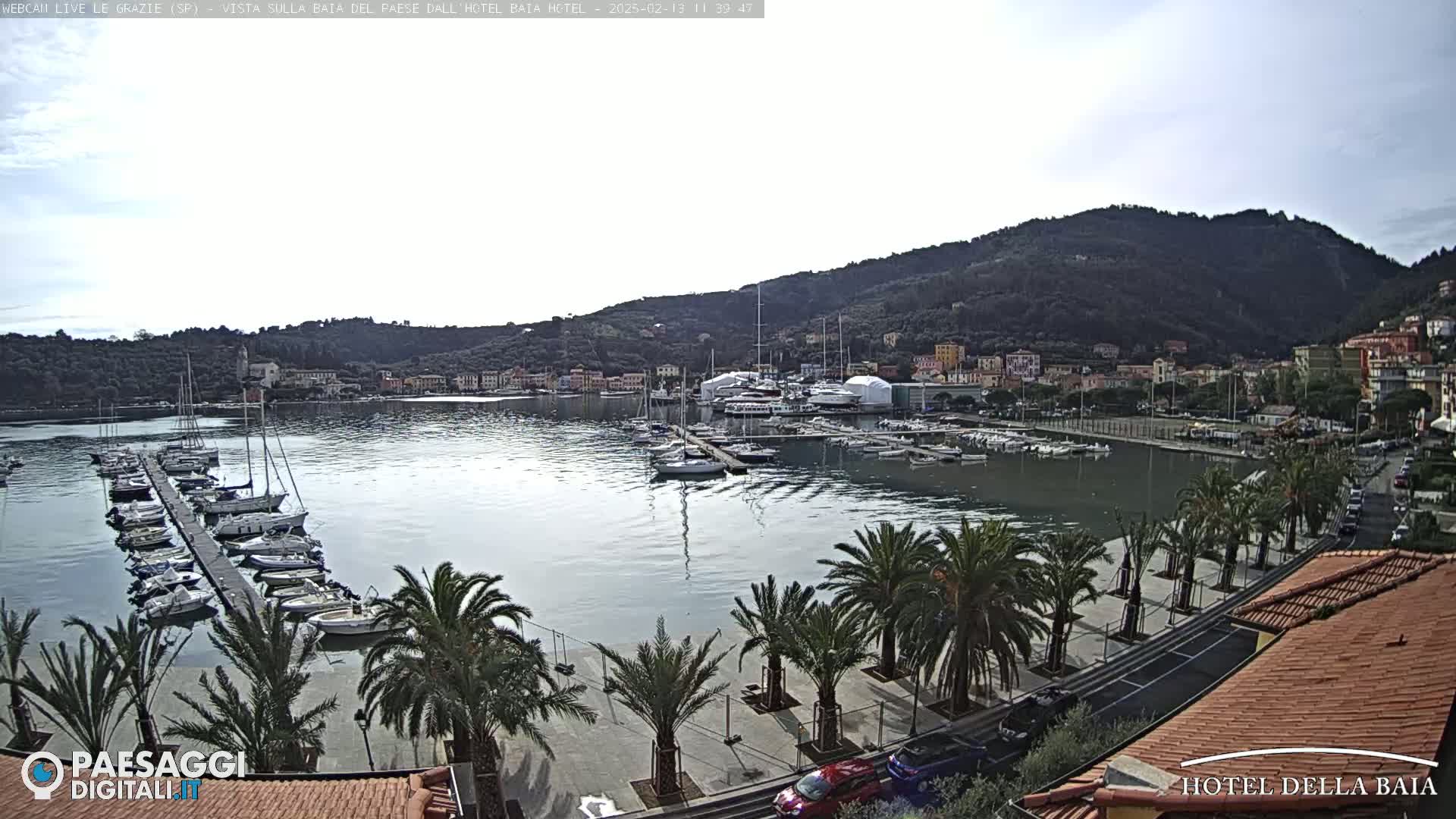 A calm harbor filled with sailboats and yachts is nestled beside a town at the foot of a tree-covered hill under a mostly cloudy sky.