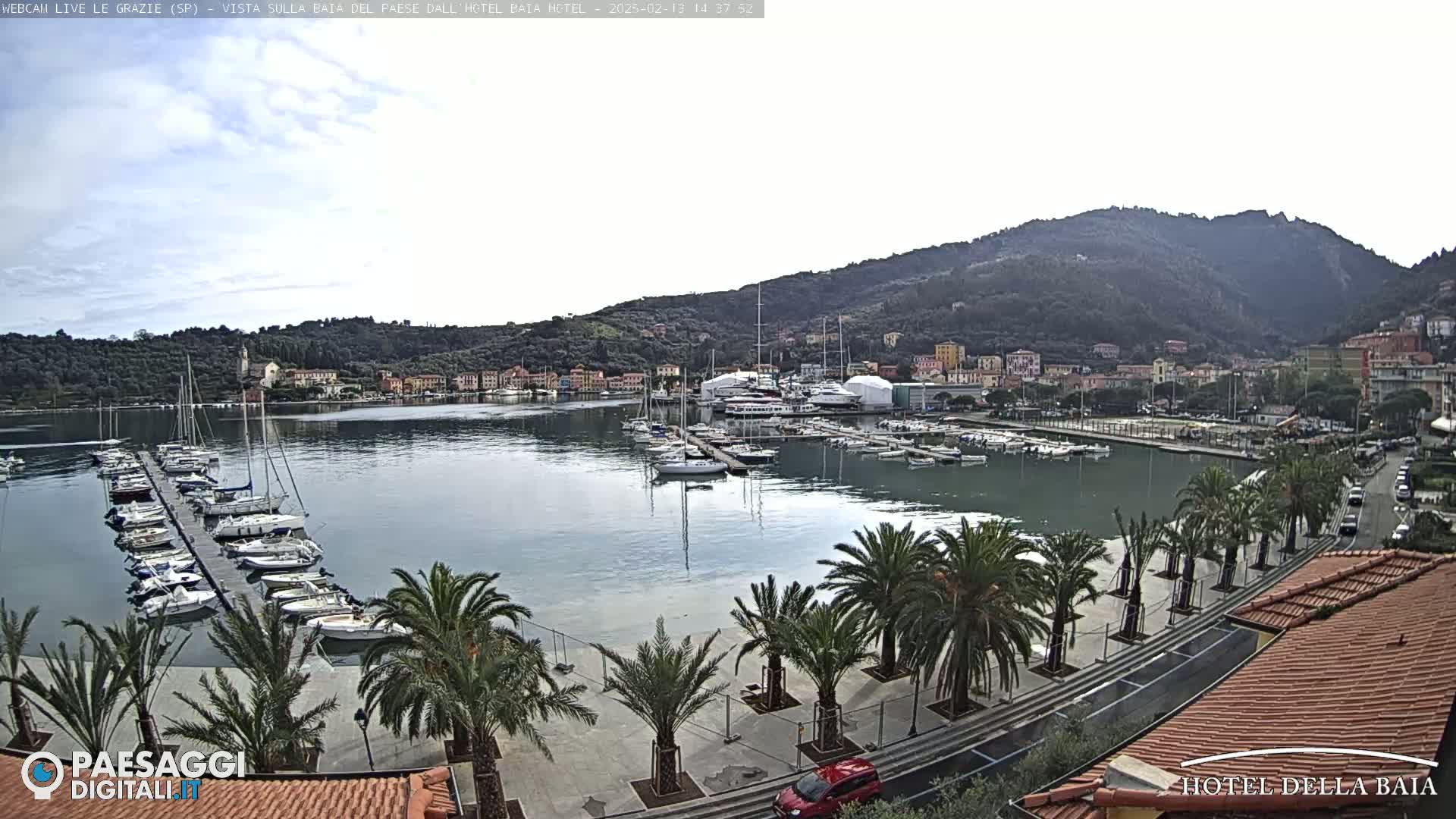 A harbor filled with boats is situated below a hillside town, under a mostly clear sky.