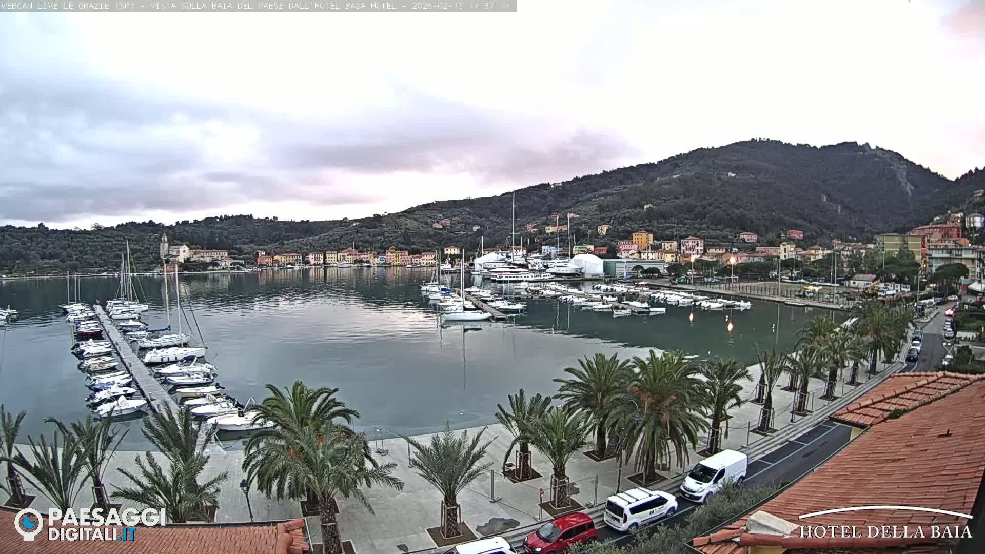 A harbor filled with sailboats and yachts is nestled beside a town situated at the base of a hill under an overcast sky.